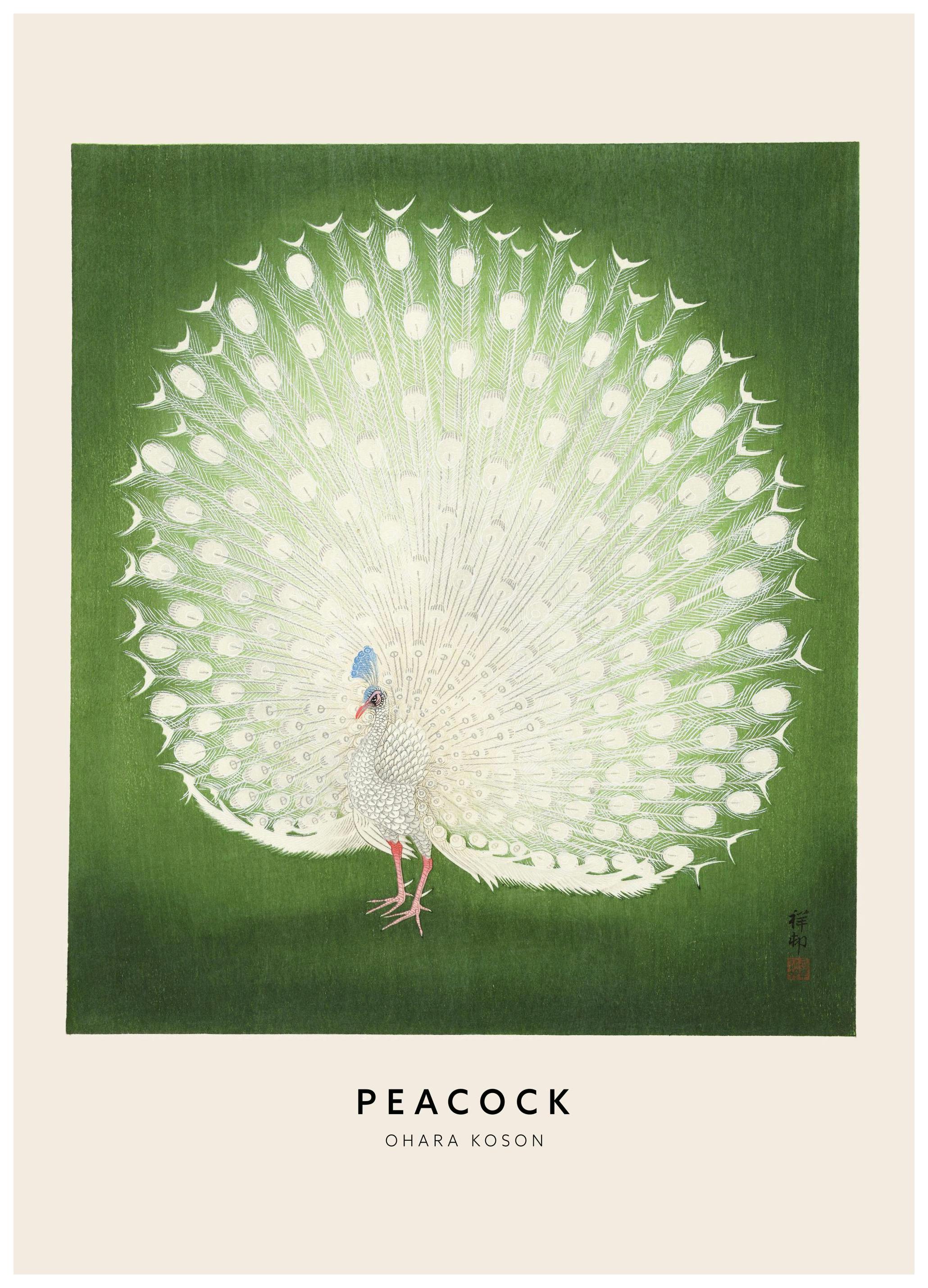 Ohara Koson - Peacock Print (21x30 cm)