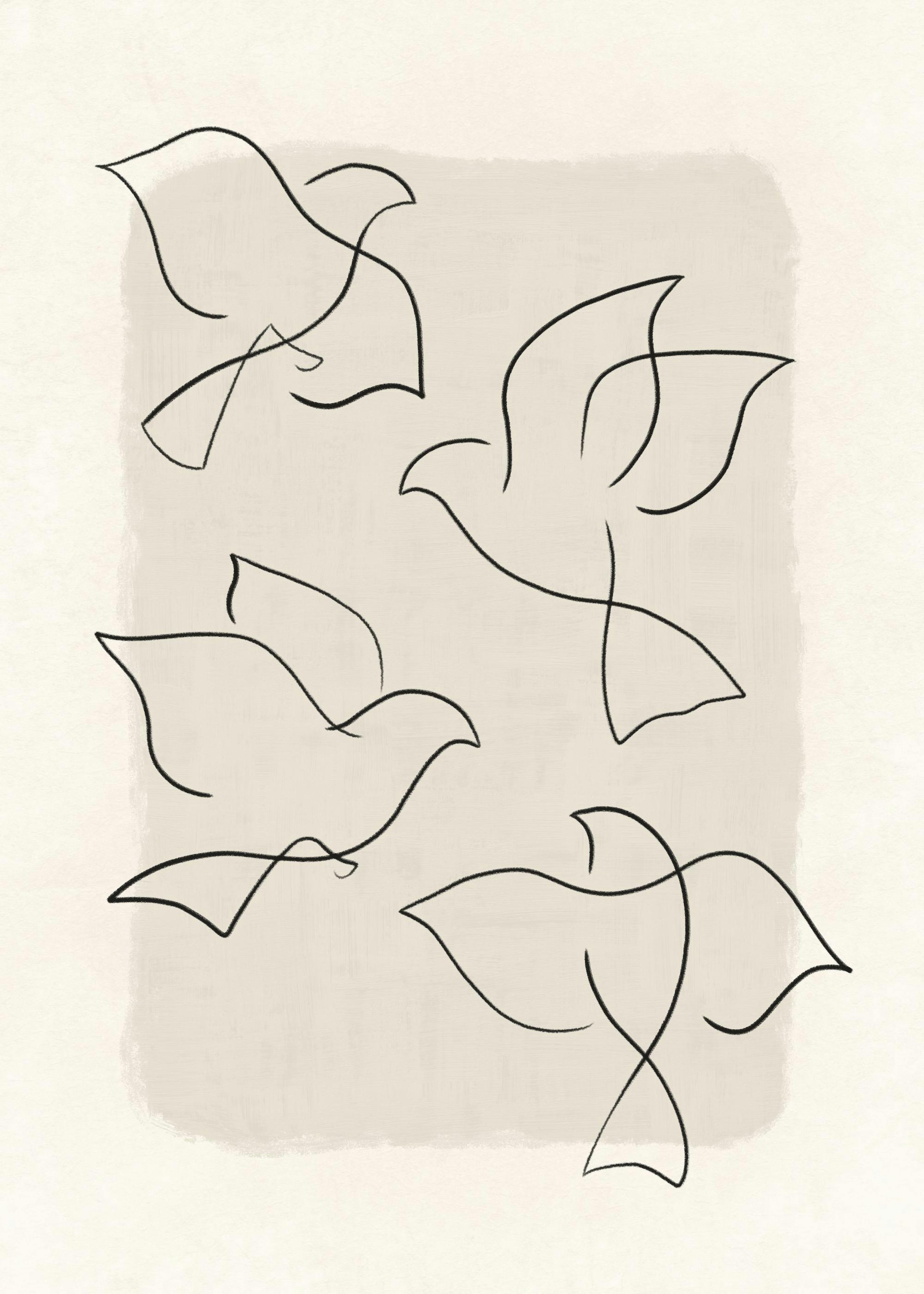 Line Art Birds Plakat 0