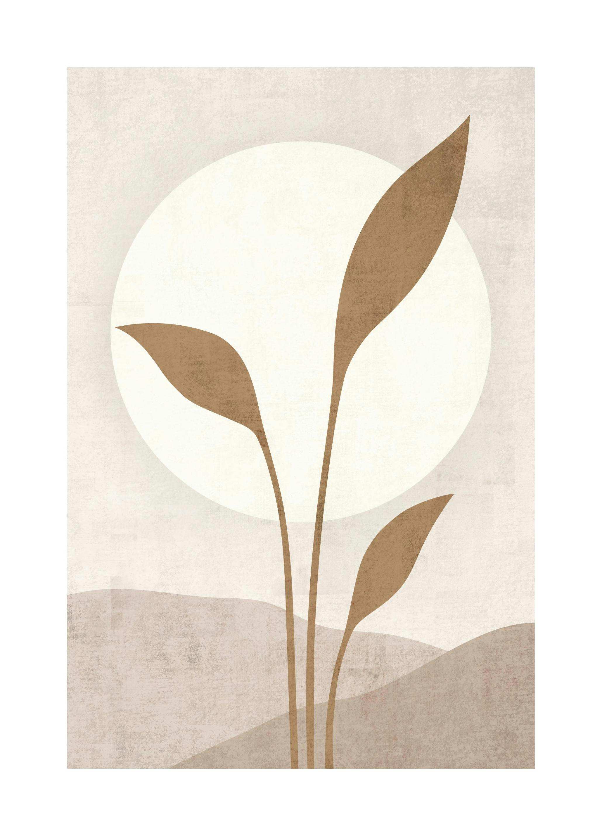 Beige Solar Poster (50x70 cm)