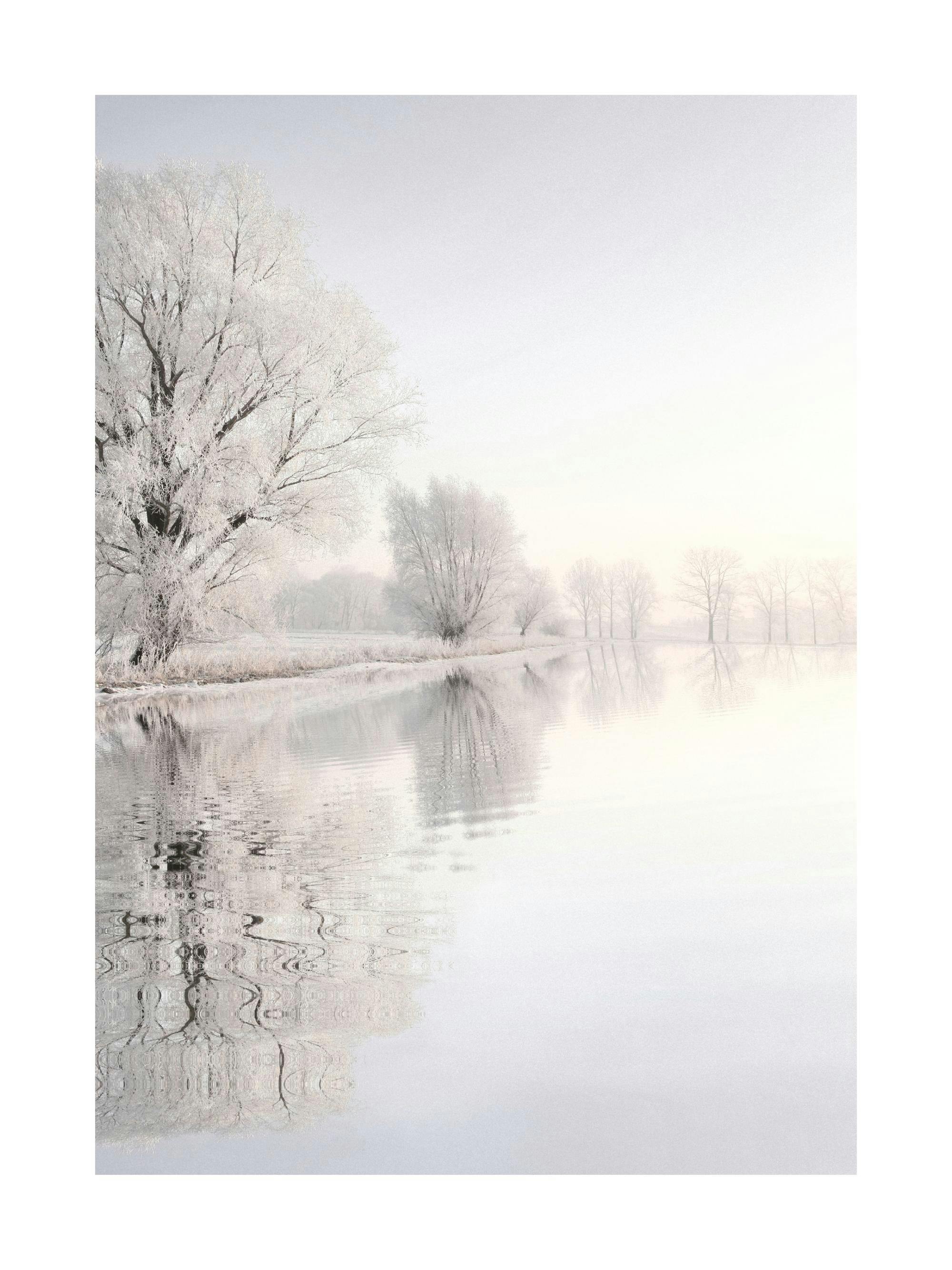 Affiche dun paysage hivernal avec un lac et des arbres enneigés, reflétés dans leau immobile sous une lumière douce