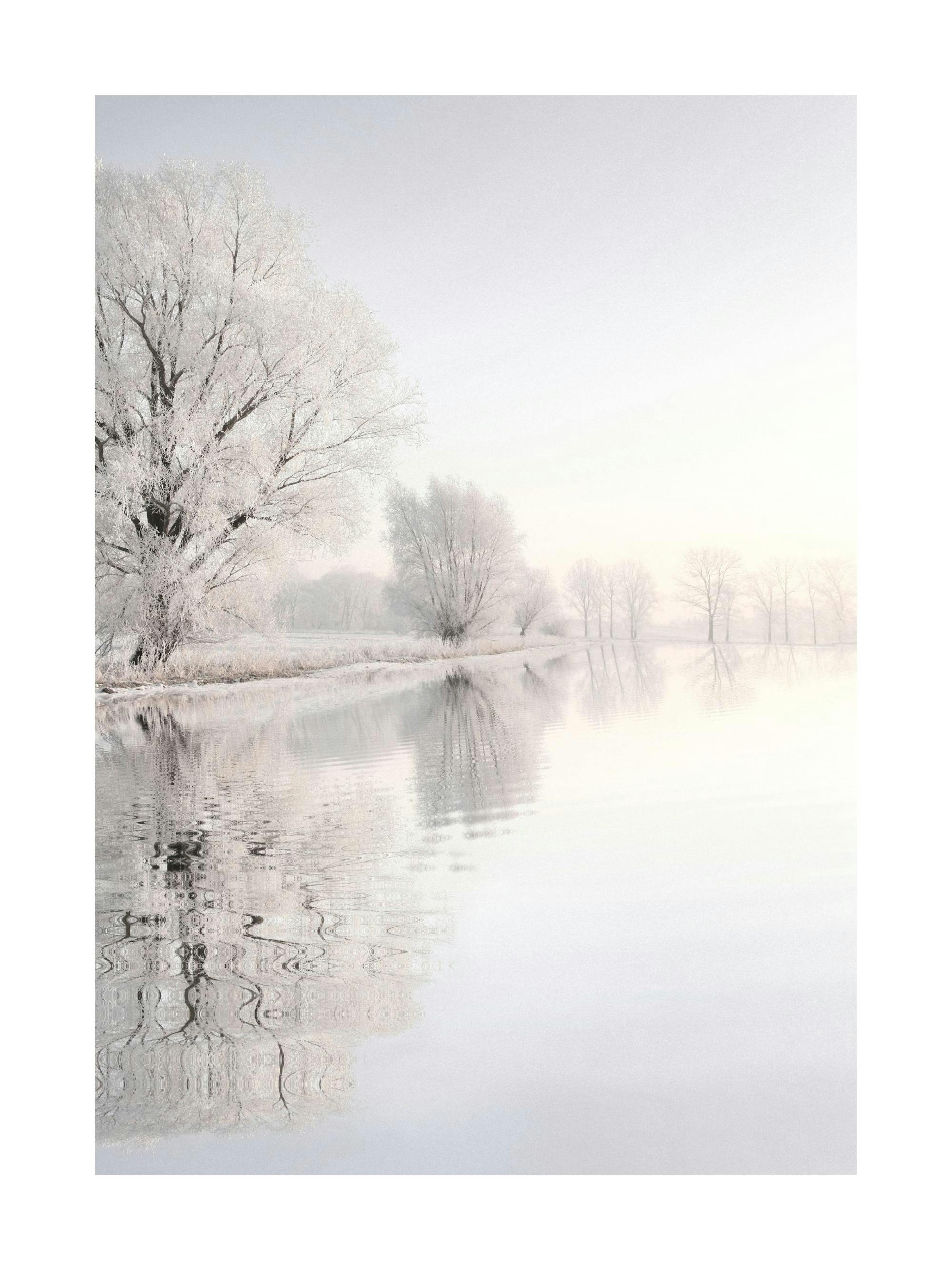 Crispy Wonderland Affiche 0