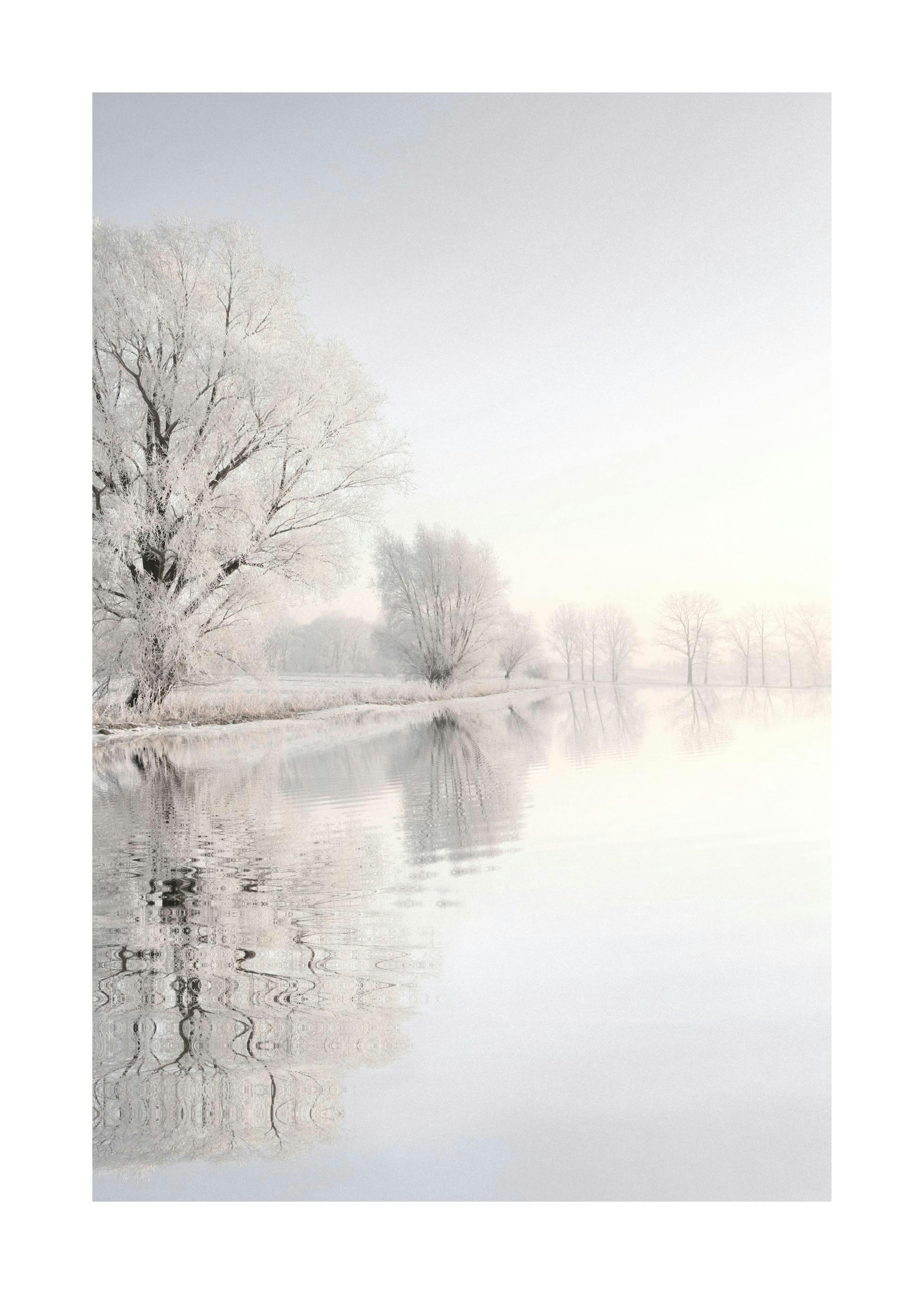 Crispy Wonderland Plakat 0