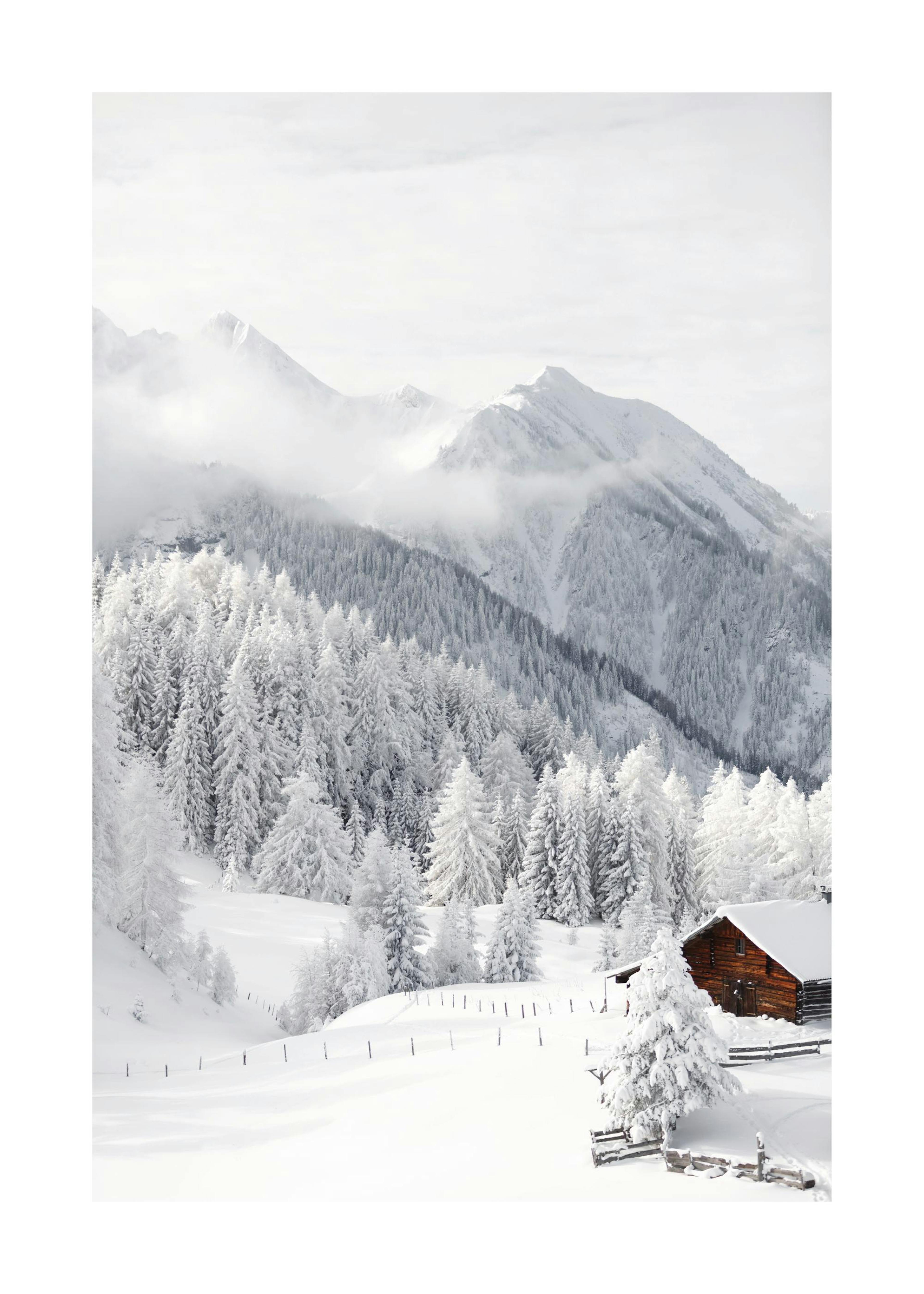 Snowy Landscape Affiche 0