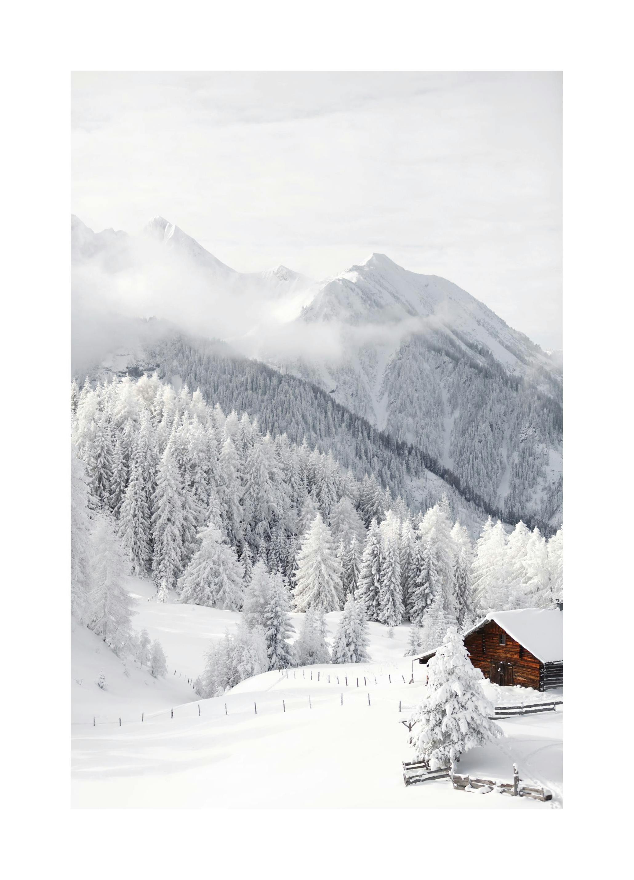 Snowy Landscape Poster (50x70 cm) - Winterposters