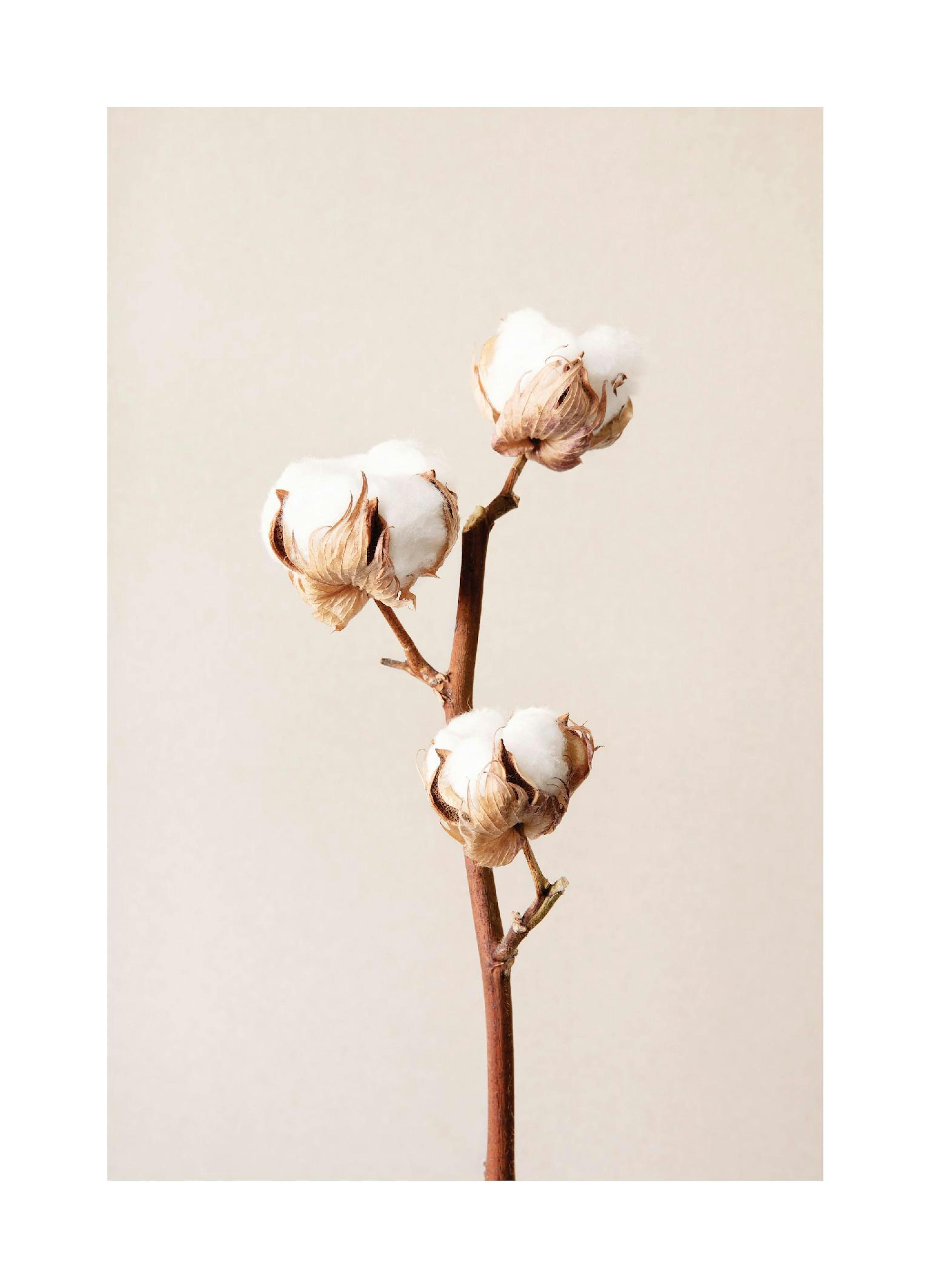 Product image: 1