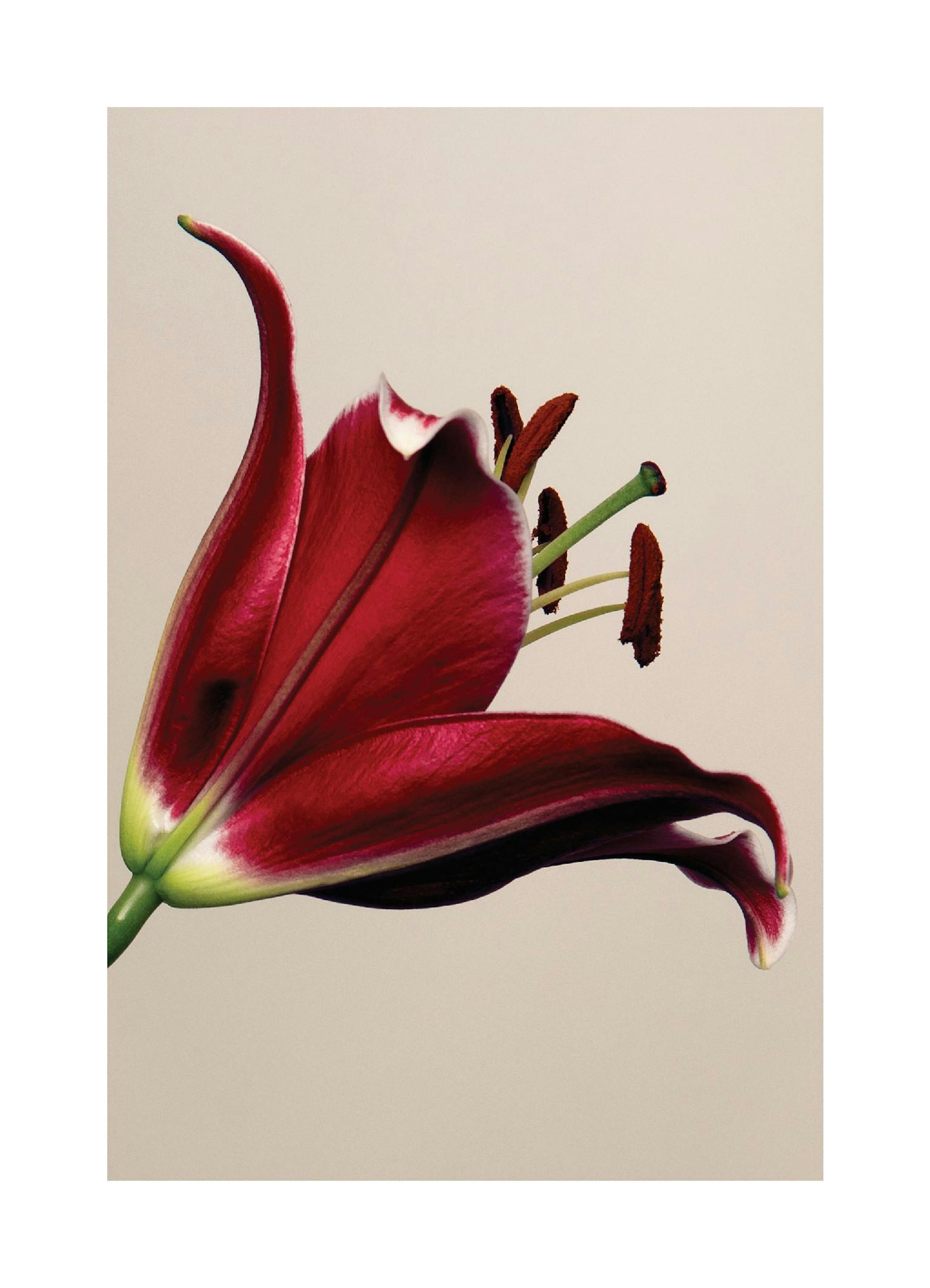 Product image: 1