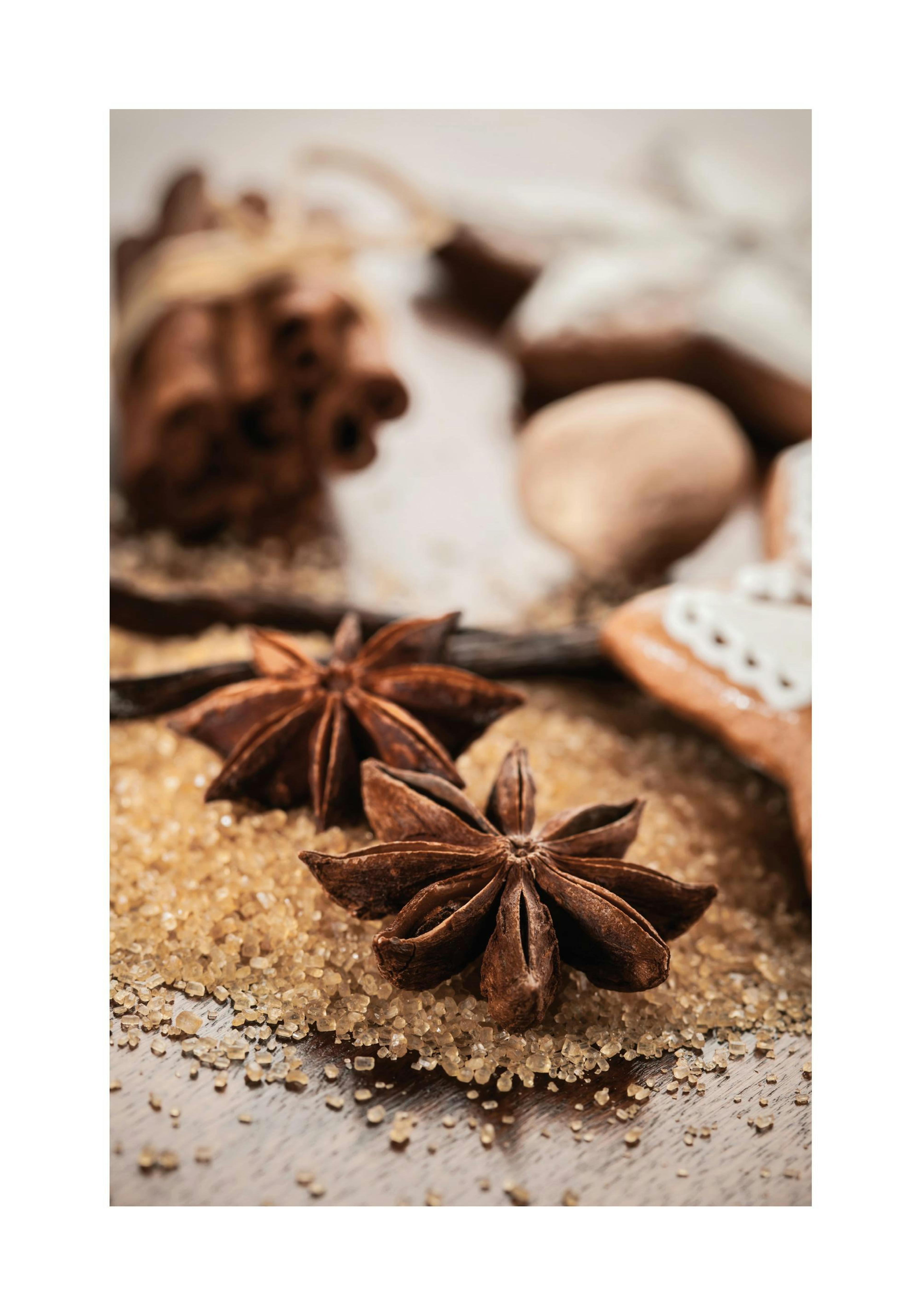 Anis & Cinnamon Poster 0