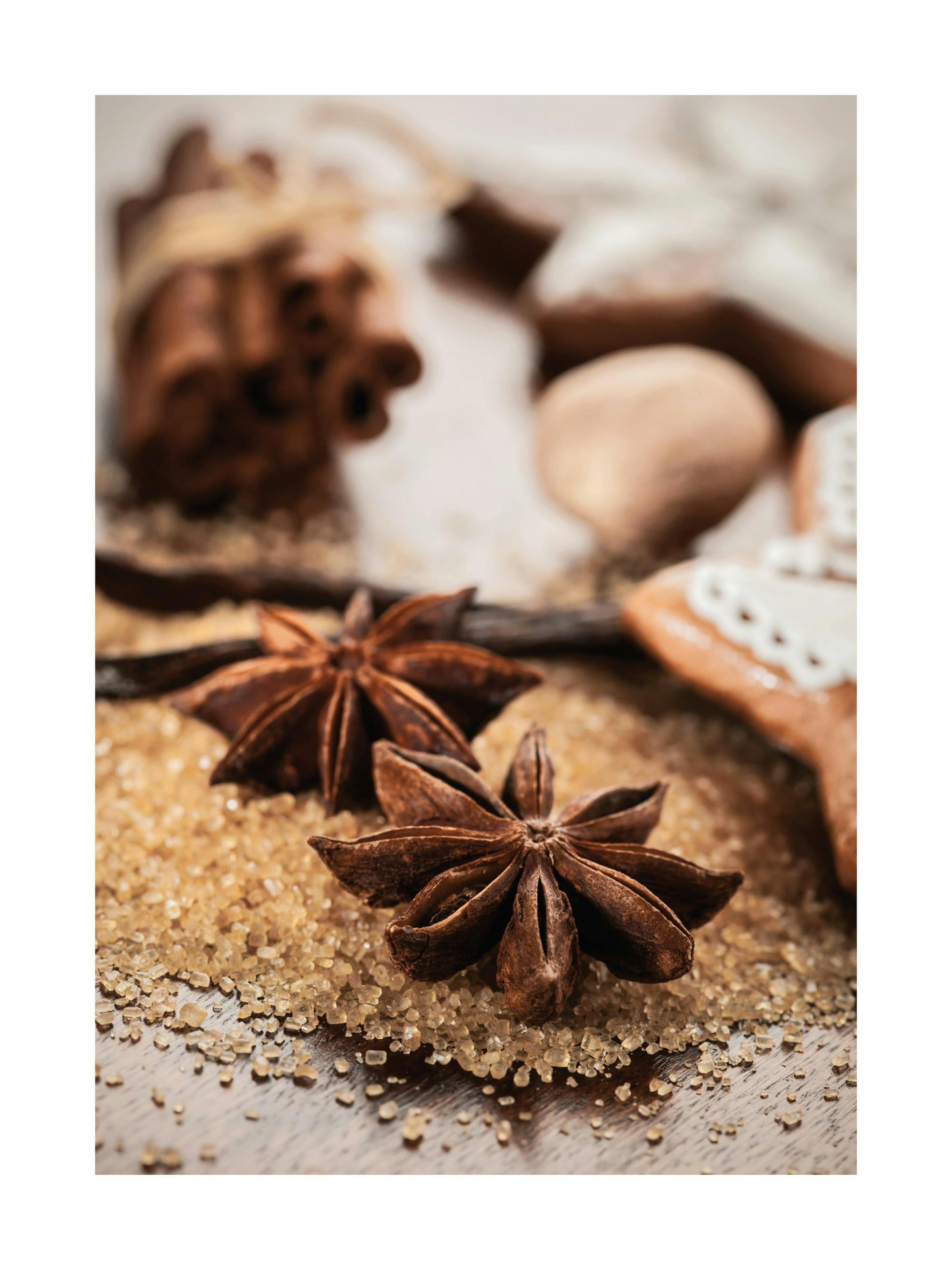 Anis & Cinnamon Plakat 0