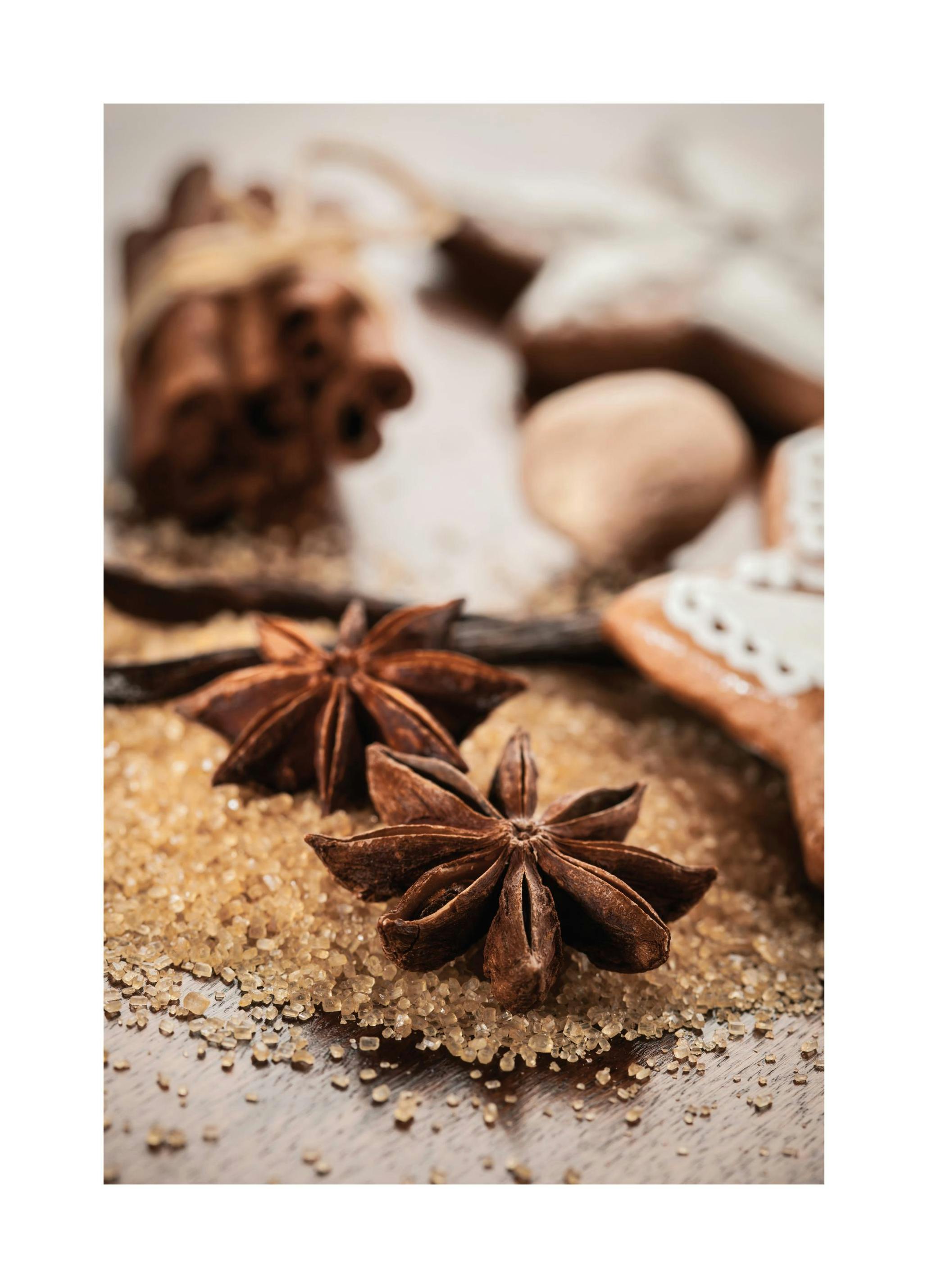 Anis & Cinnamon Affiche (21x30 cm)