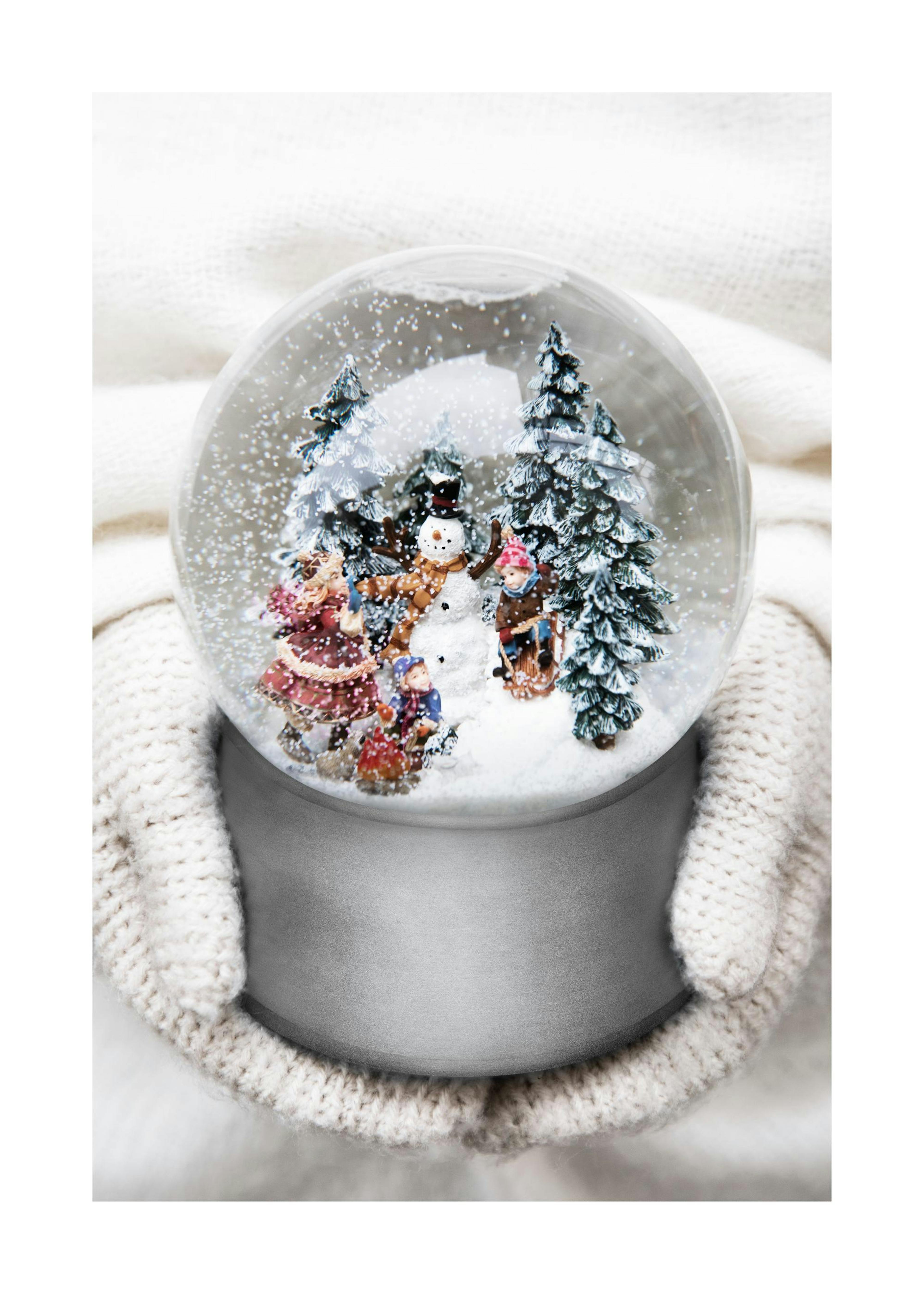 Snow Globe Plakat 0