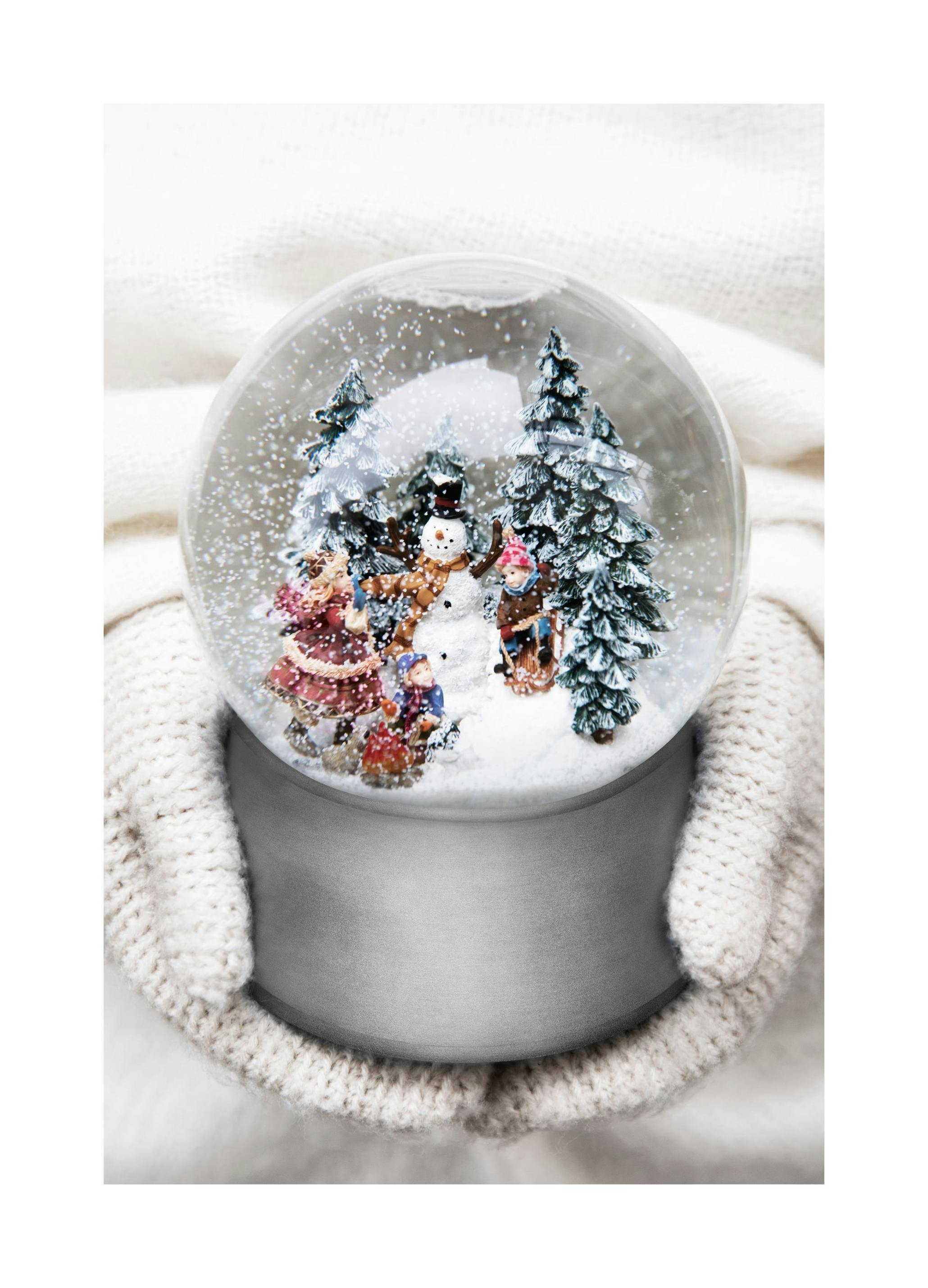 Snow Globe Poster (21x30 cm)-Poster