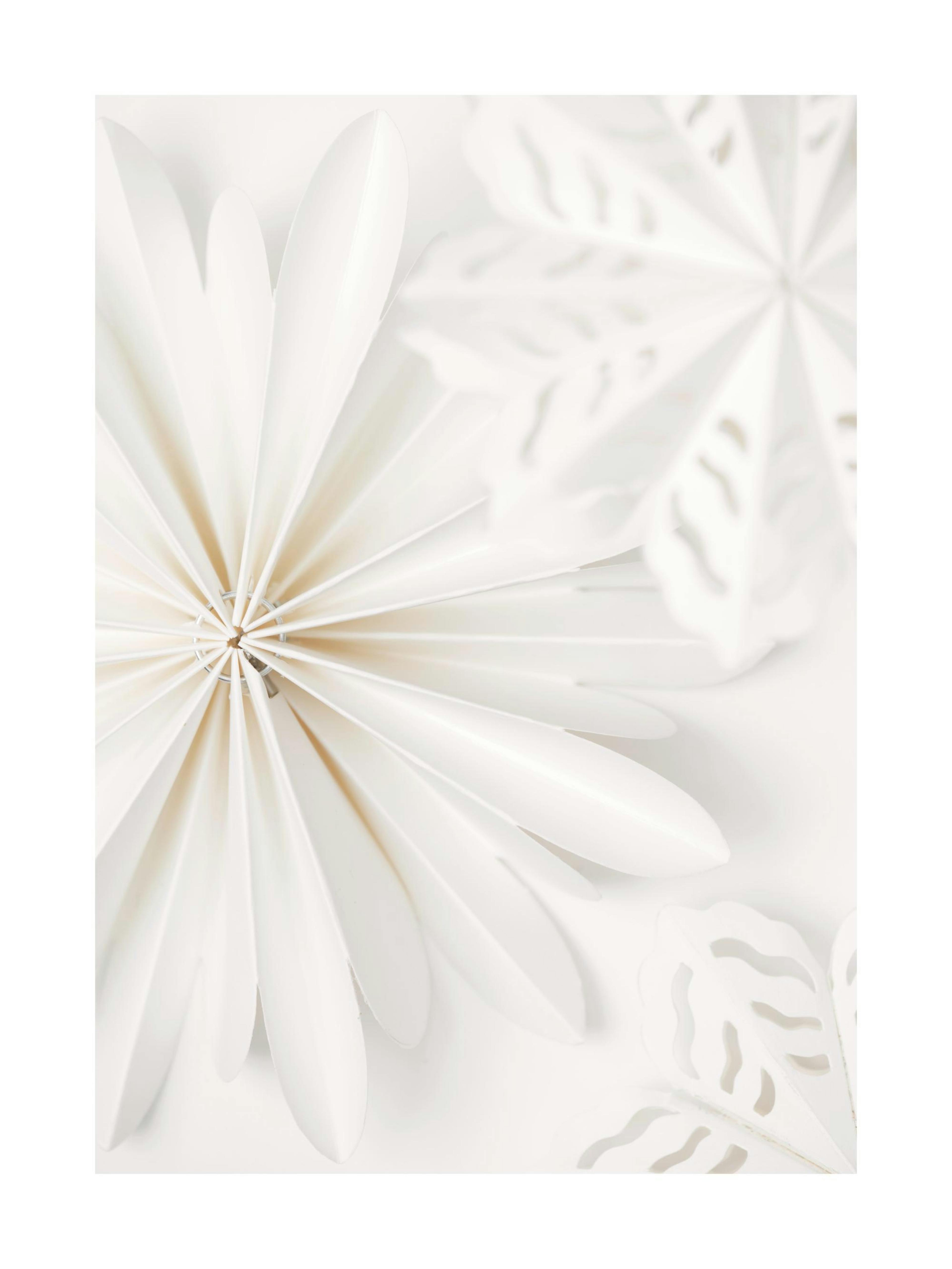 Product image: 1