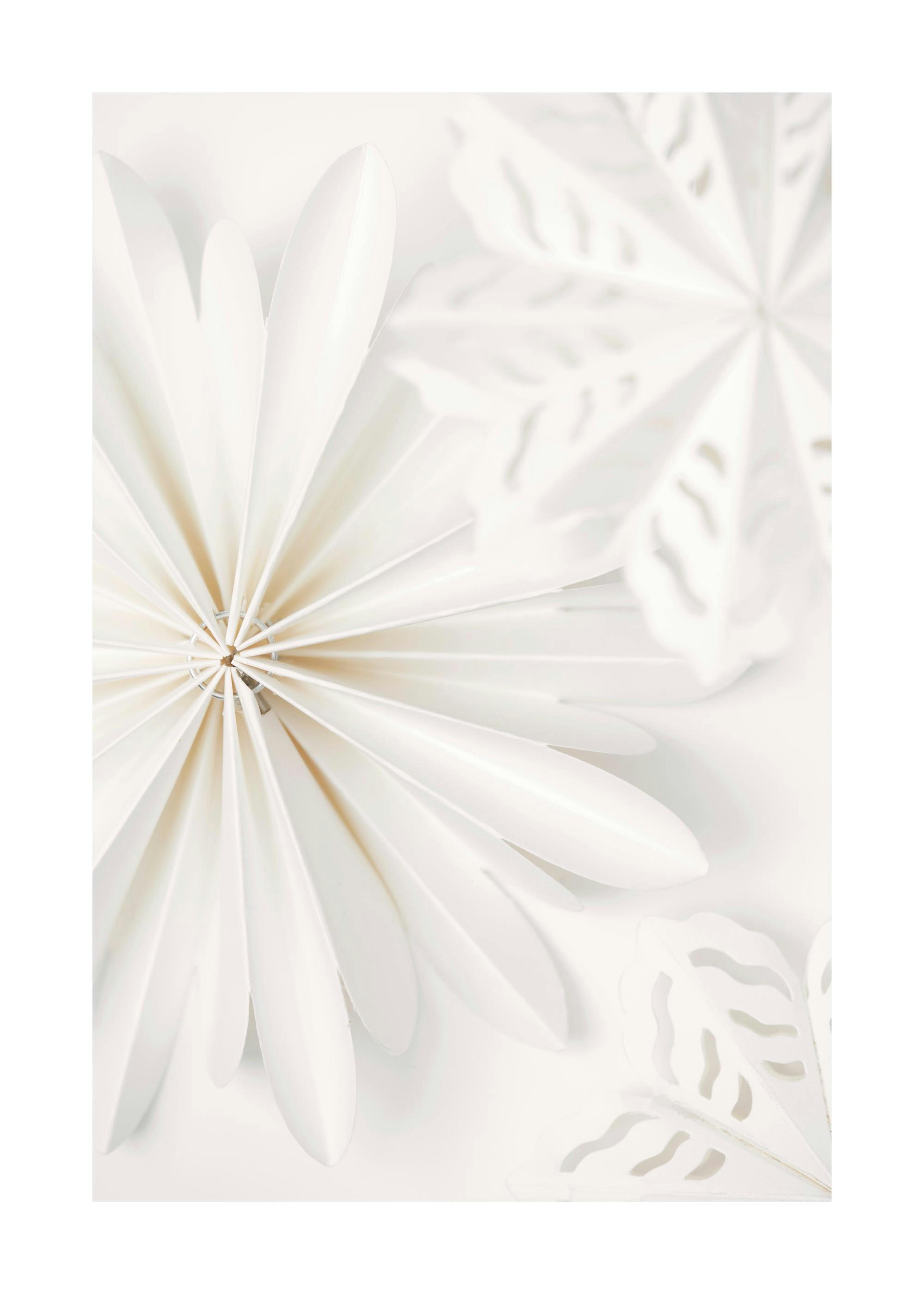 Paper Stars Plakat 0