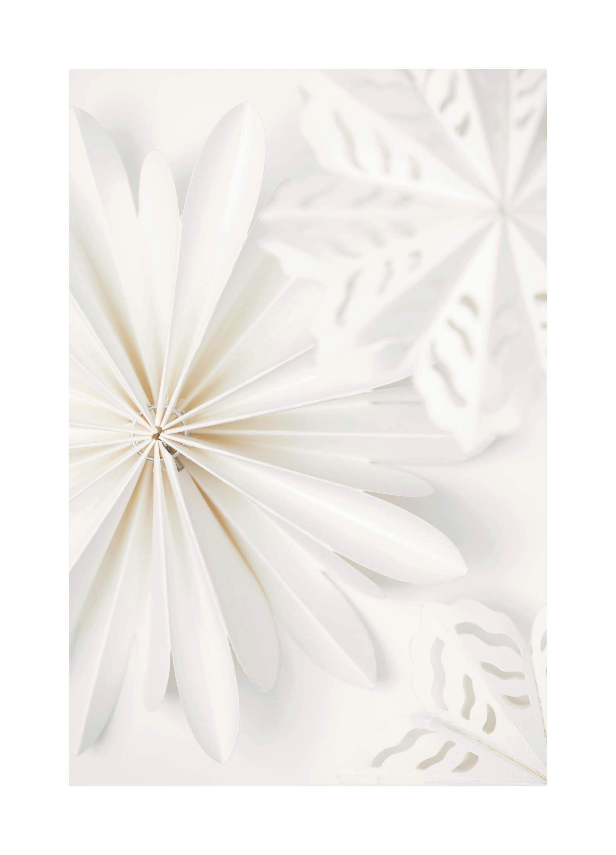 Paper Stars Poster (50x70 cm)-Poster