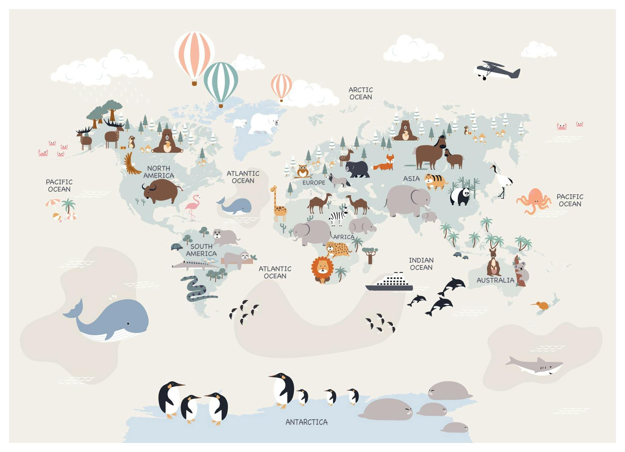 Animals of the World No2 Poster (30x40 cm)- Quadri per bambini