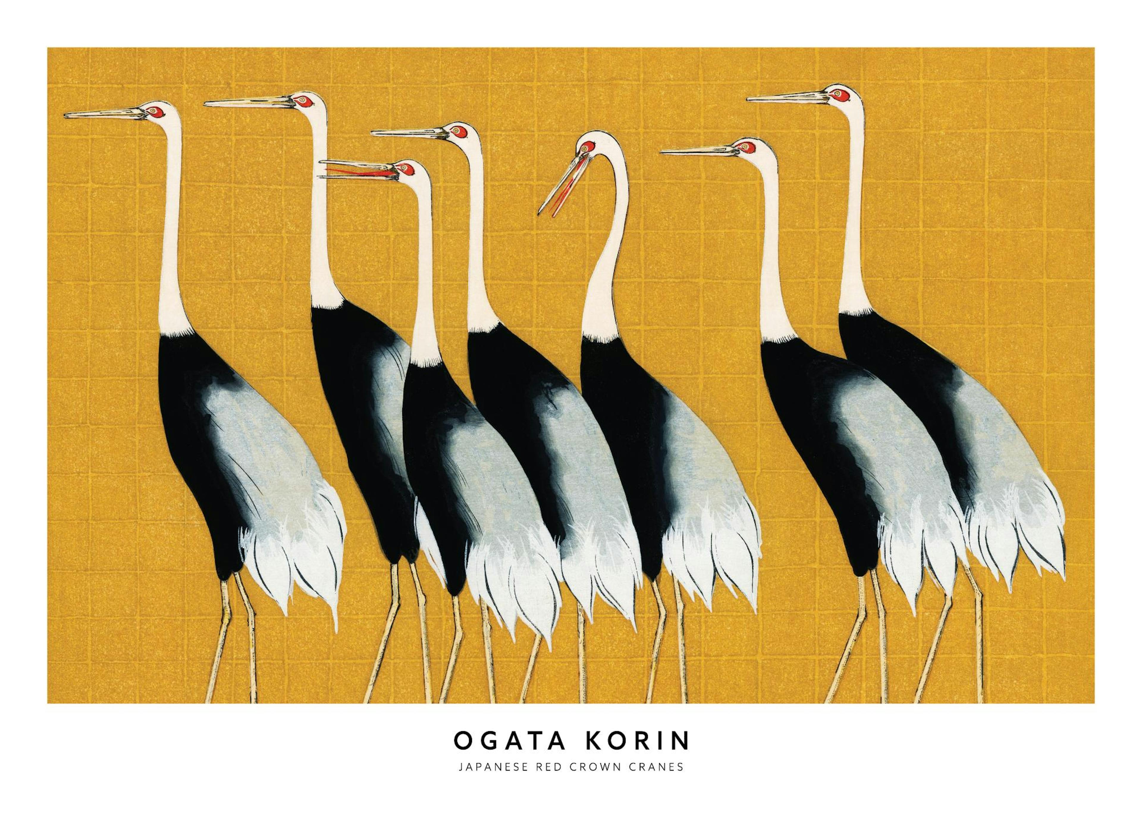 Ogata Korin - Japanese Red Crown Cranes Affiche 0