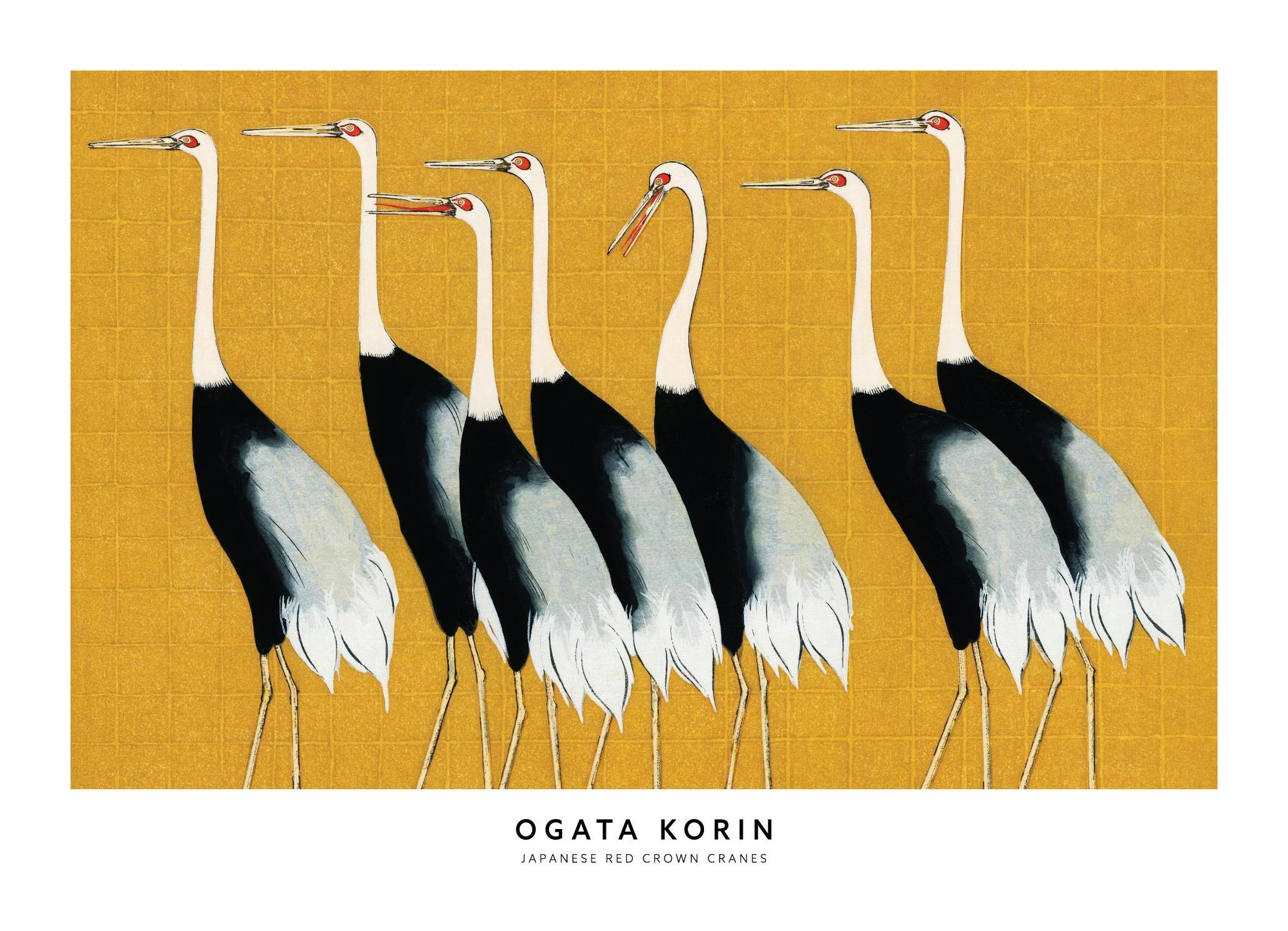Ogata Korin - Japanese Red Crown Cranes Plakat (50x70 cm) - Plakater > Malerier fra kjente kunstnere