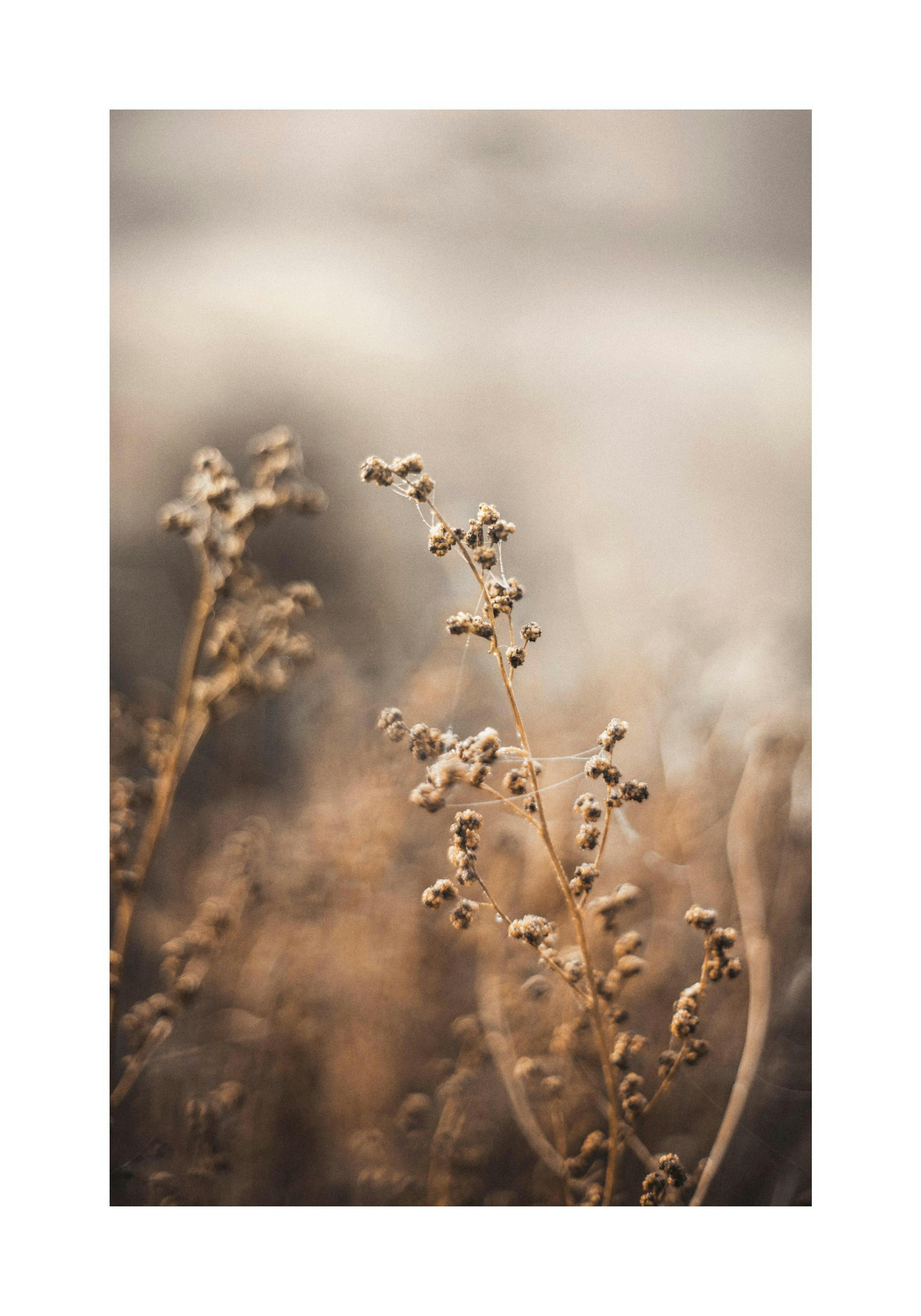 Product image: 1