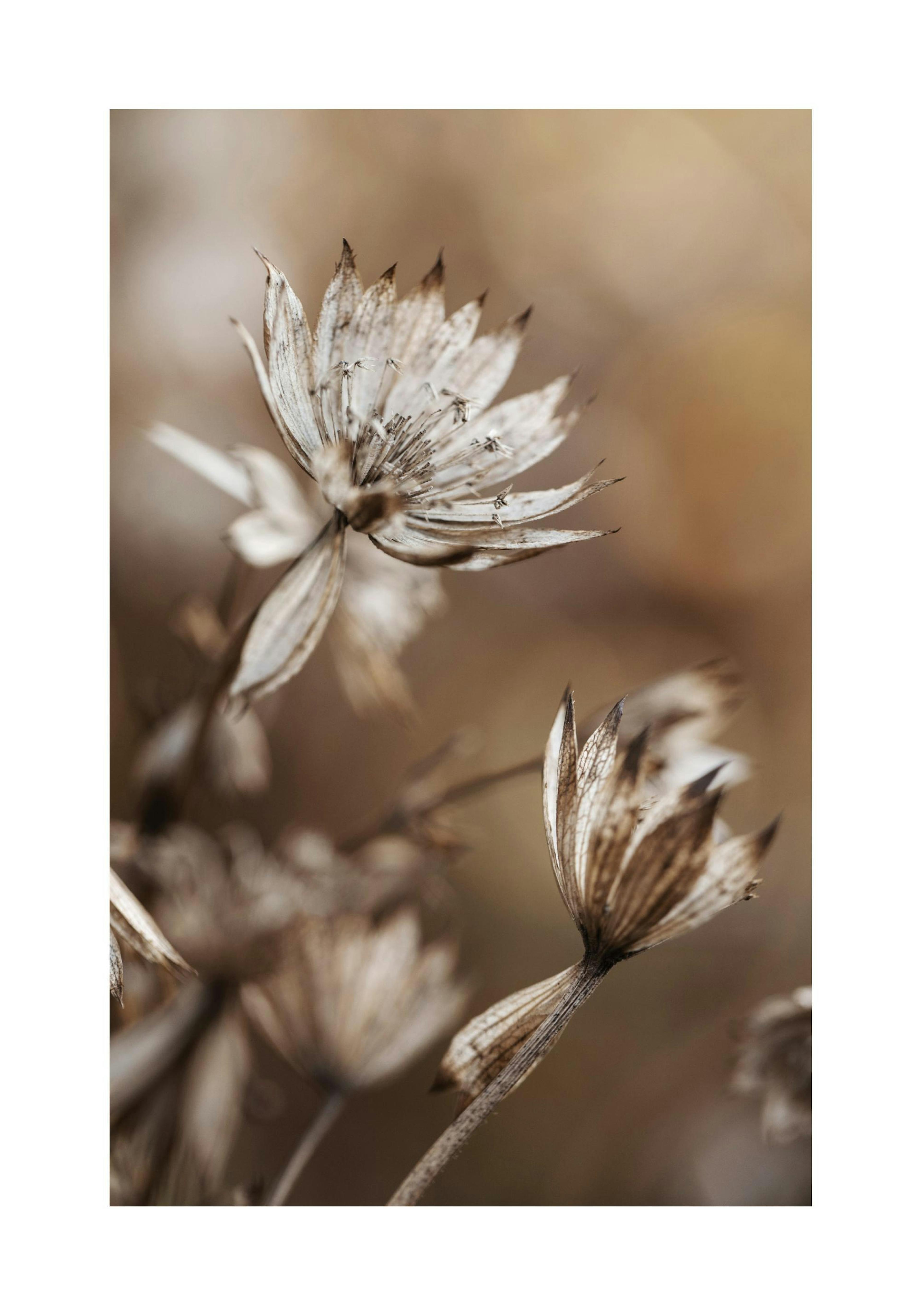 Product image: 1