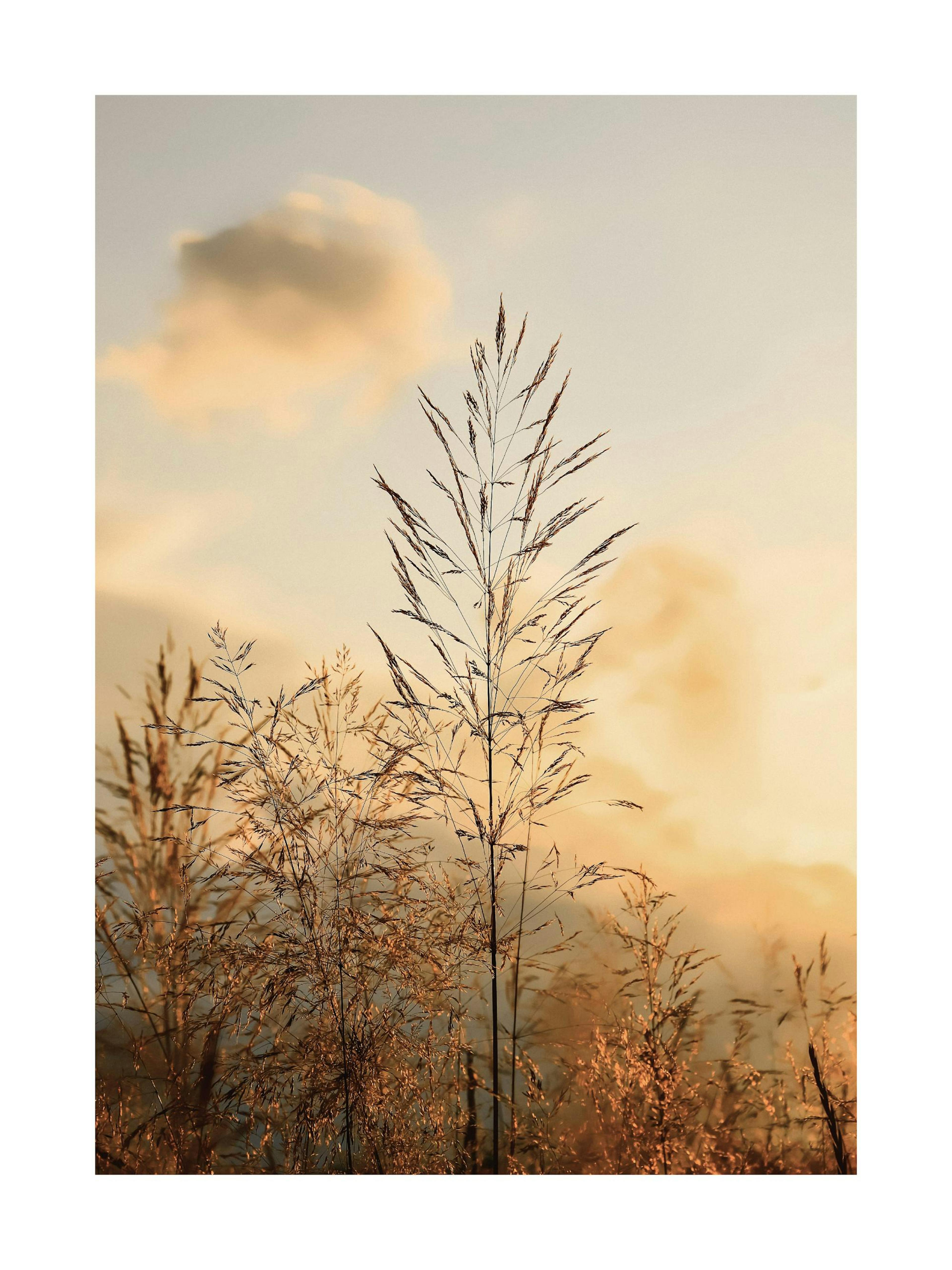 Product image: 1