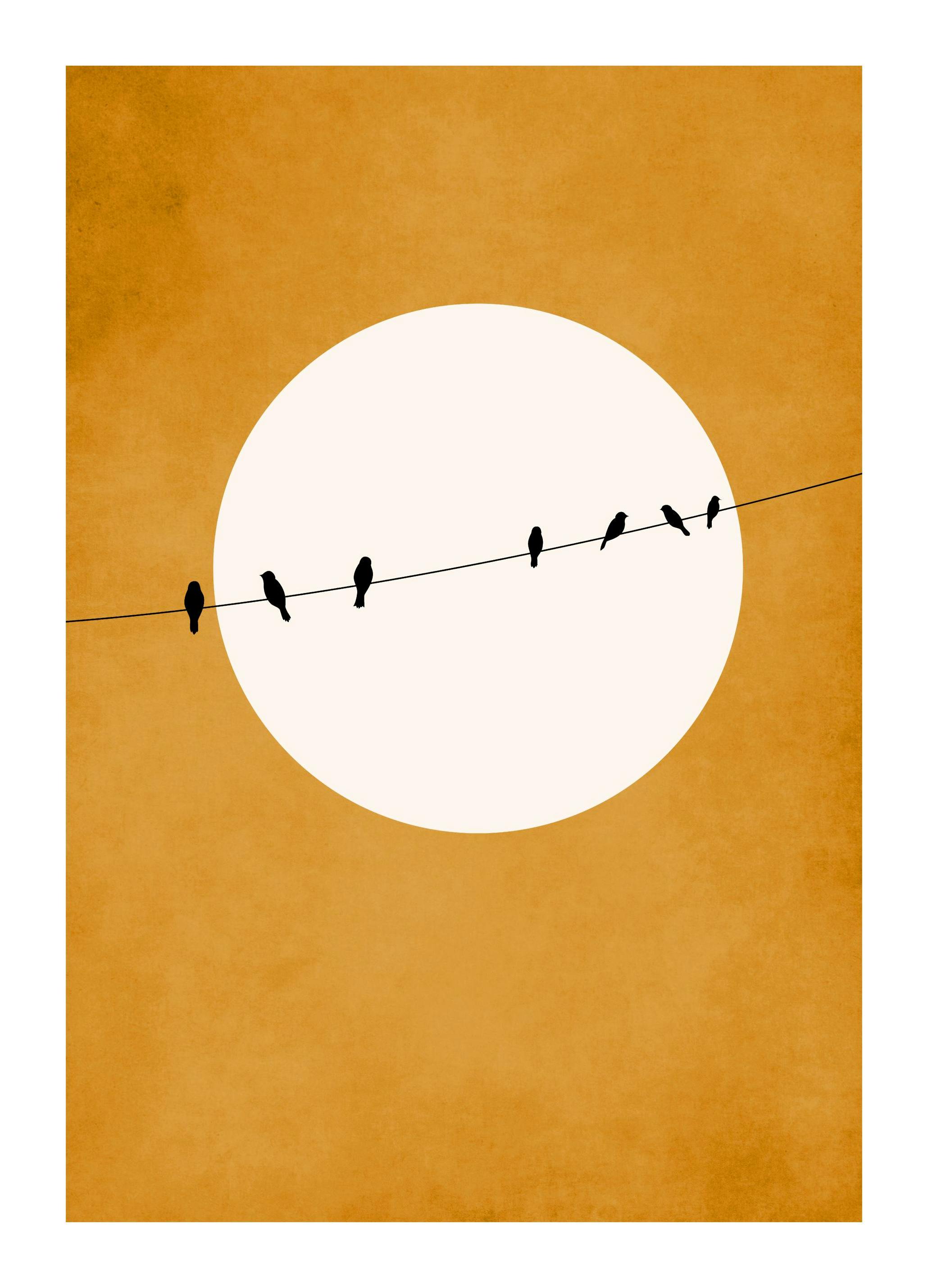 Boris Draschoff / Kubistika - Chirping and Chilling Affiche (50x70 cm) - Affiches art graphique