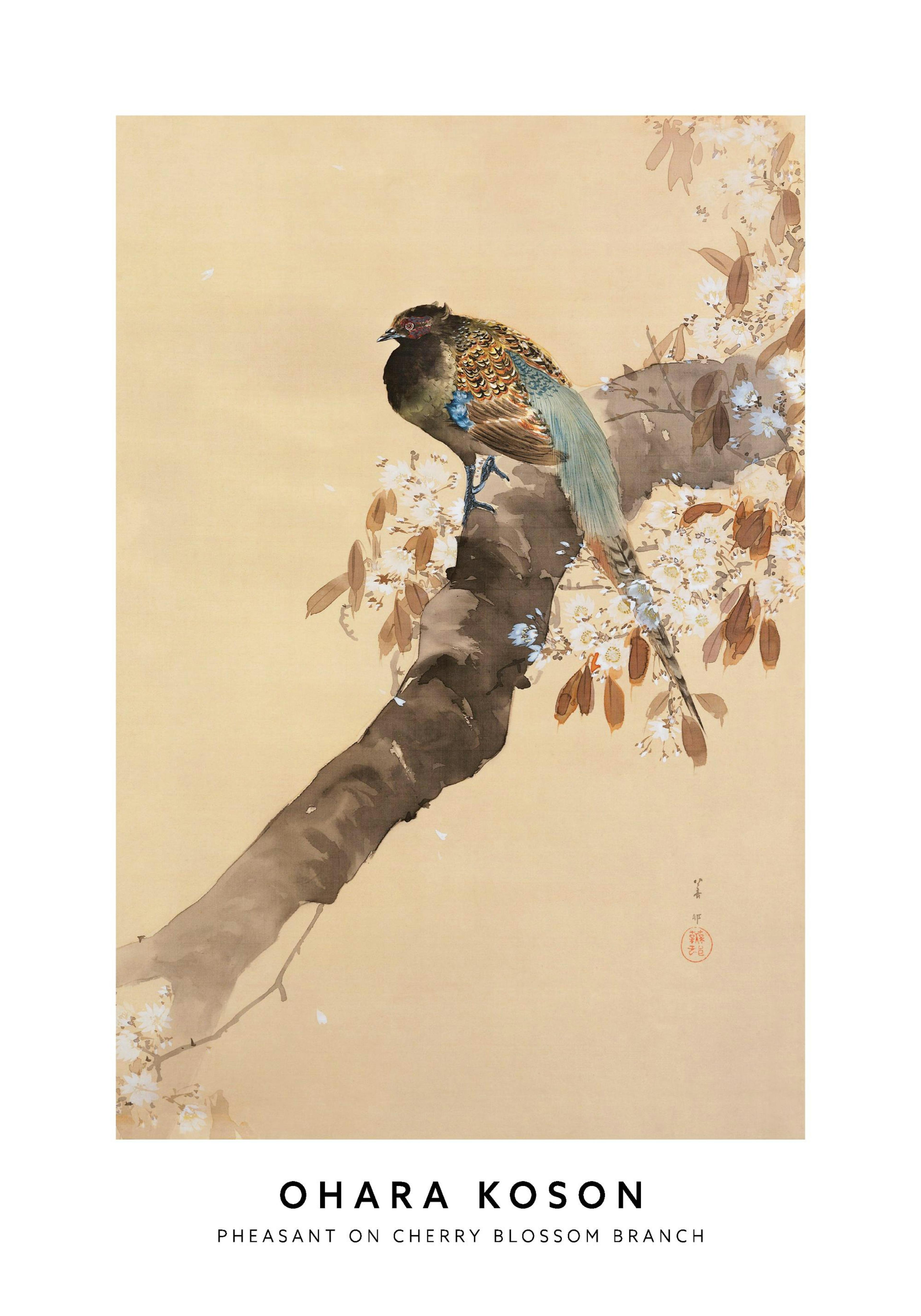 Ohara Kosons painting of a pheasant with teal tail feathers perched on a cherry blossom branch on a beige background.