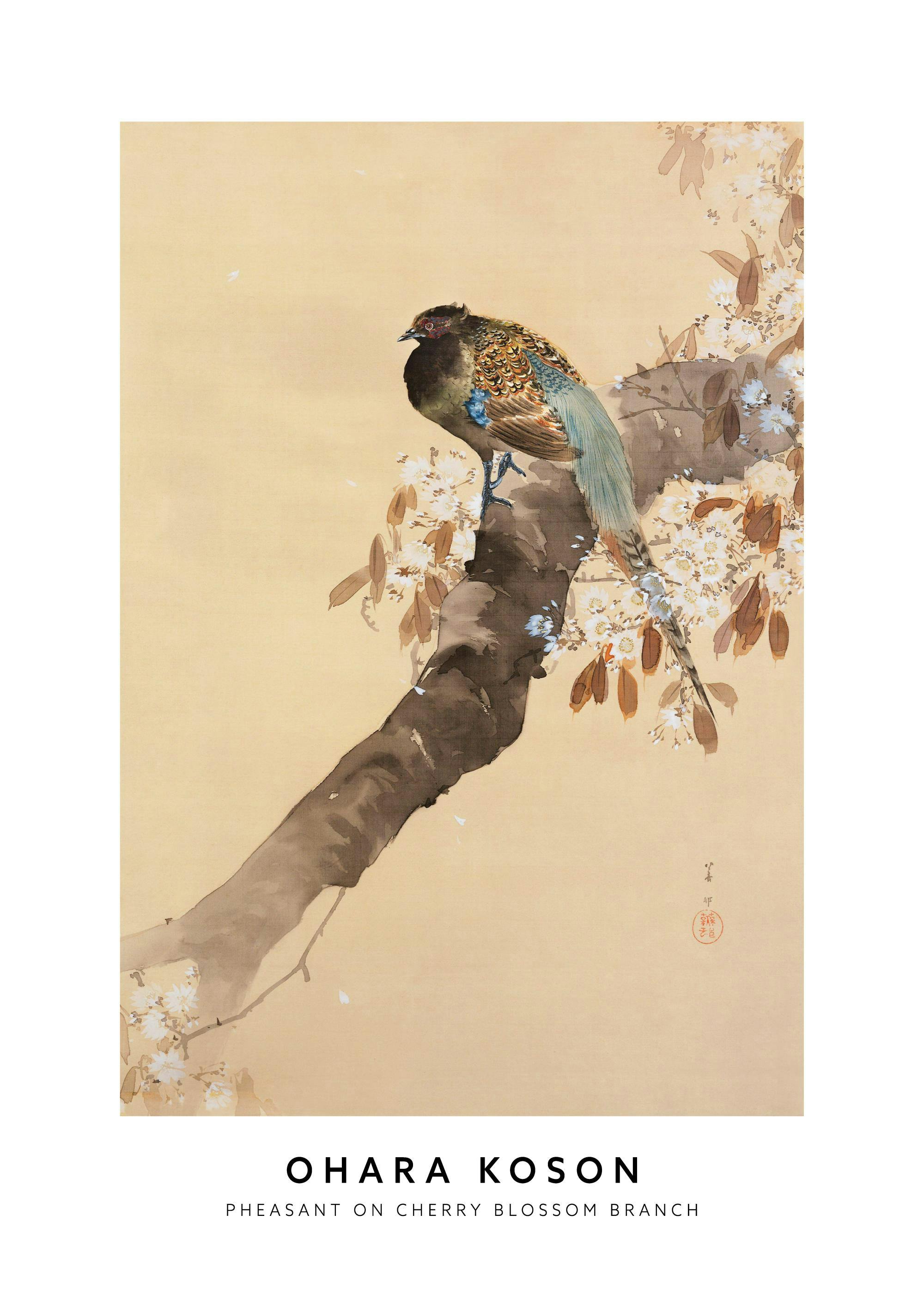 Maleri af fasan på kirsebærblomstgren, japansk kunst, fuglemotiv