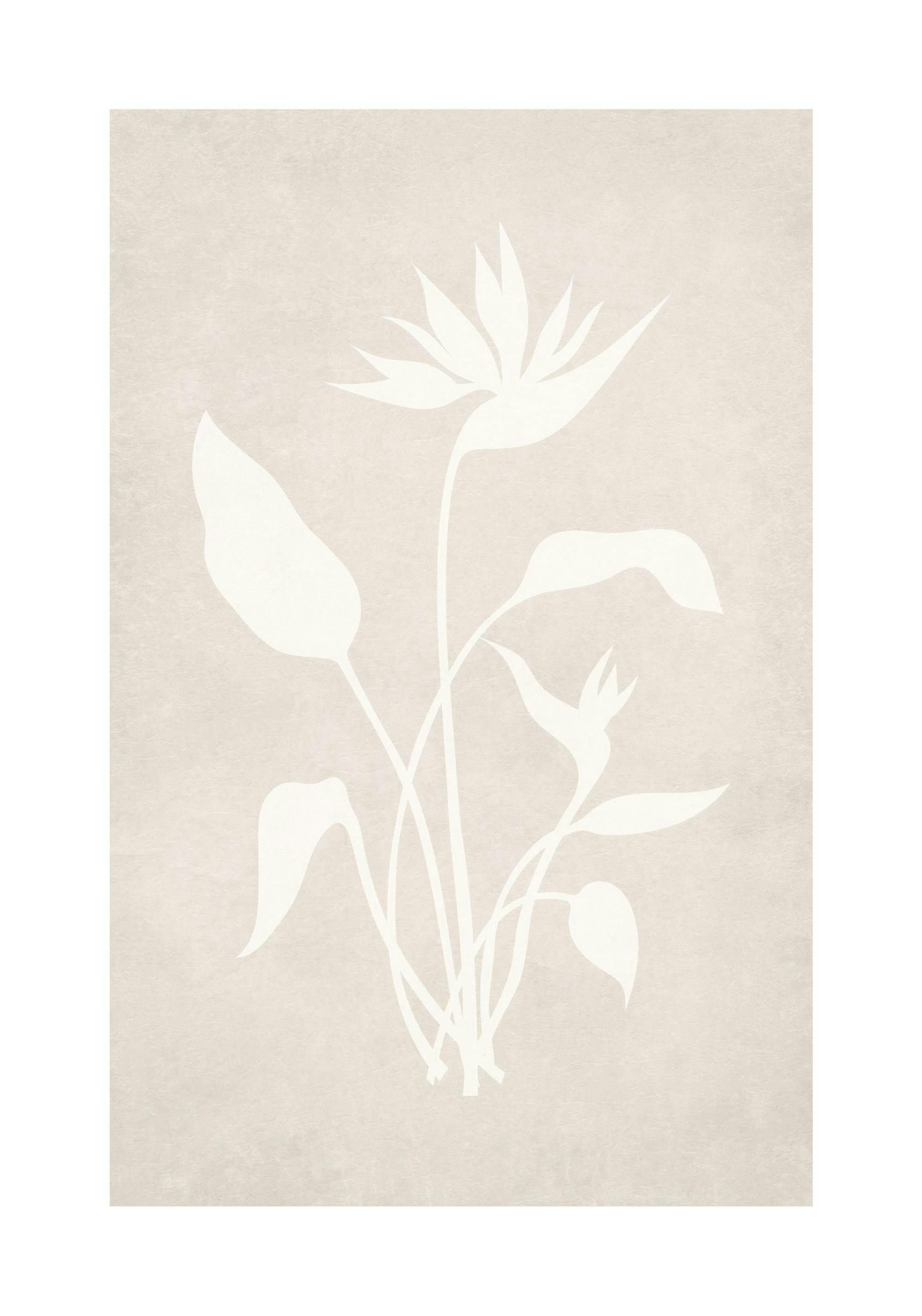 Póster botánico con siluetas de flores y hojas claras sobre fondo beige texturizado, estilo relajado.