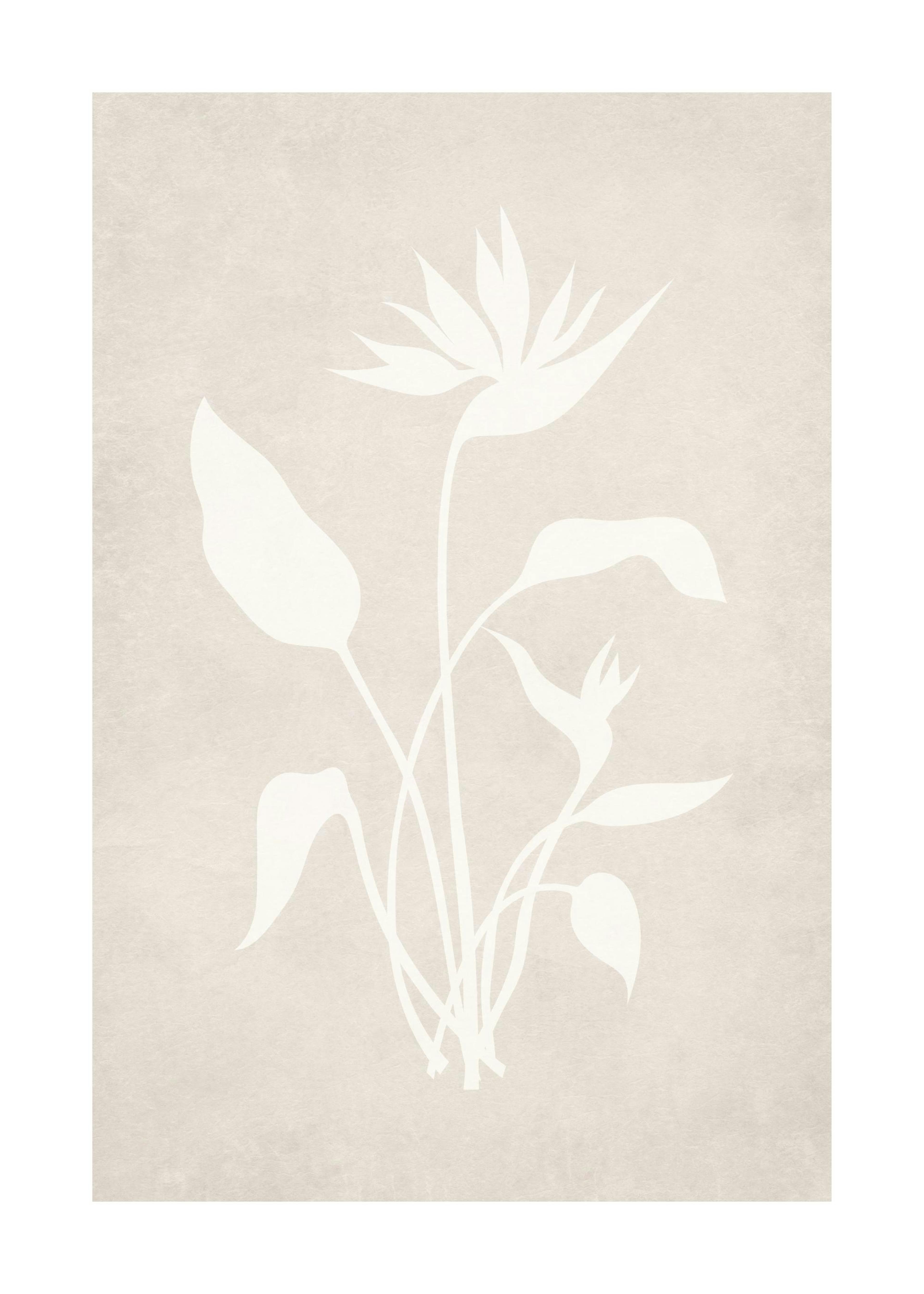 Beige Silhouette No1 Print 0