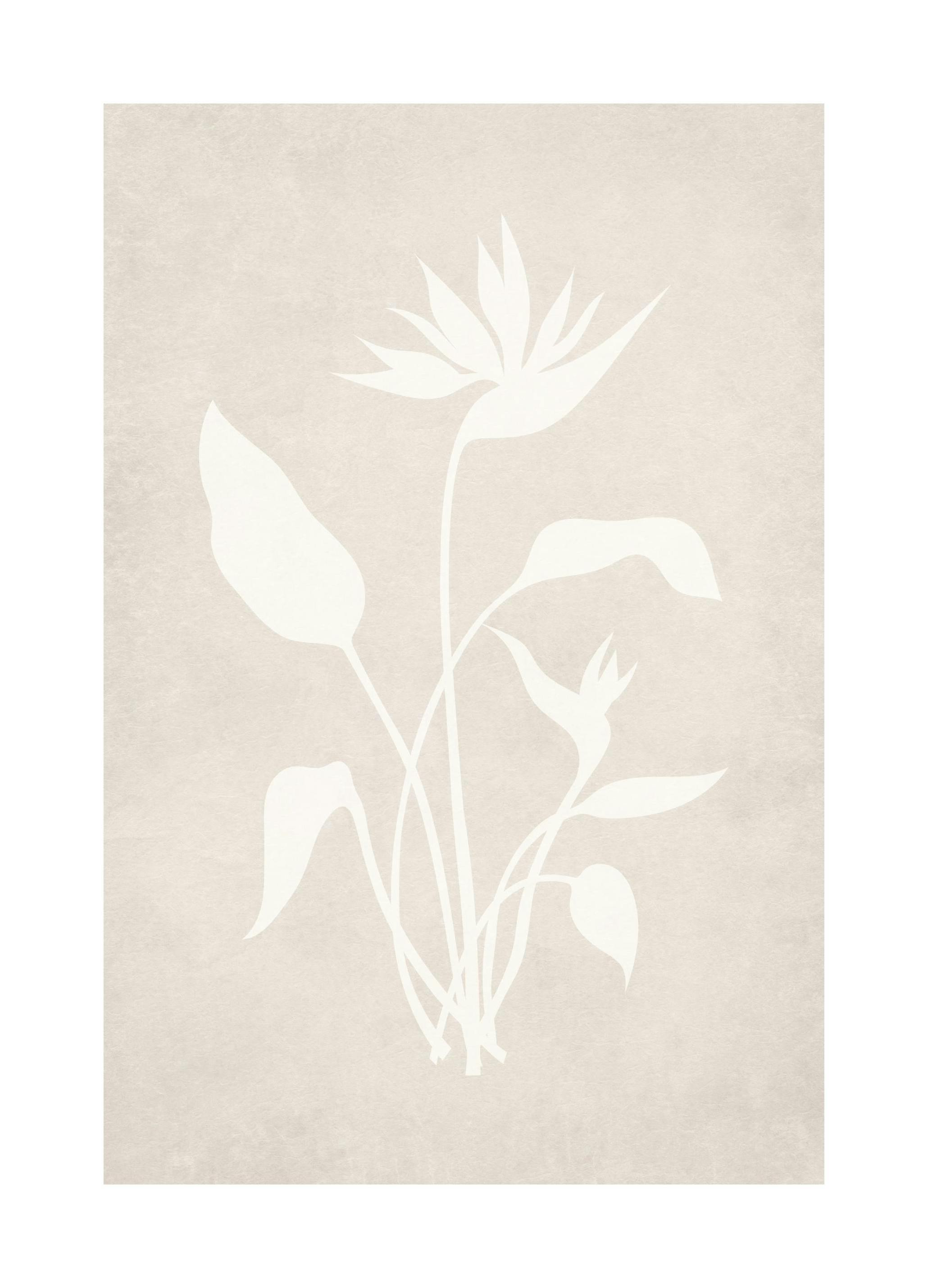 Beige Silhouette No1 Poster (50x70 cm)