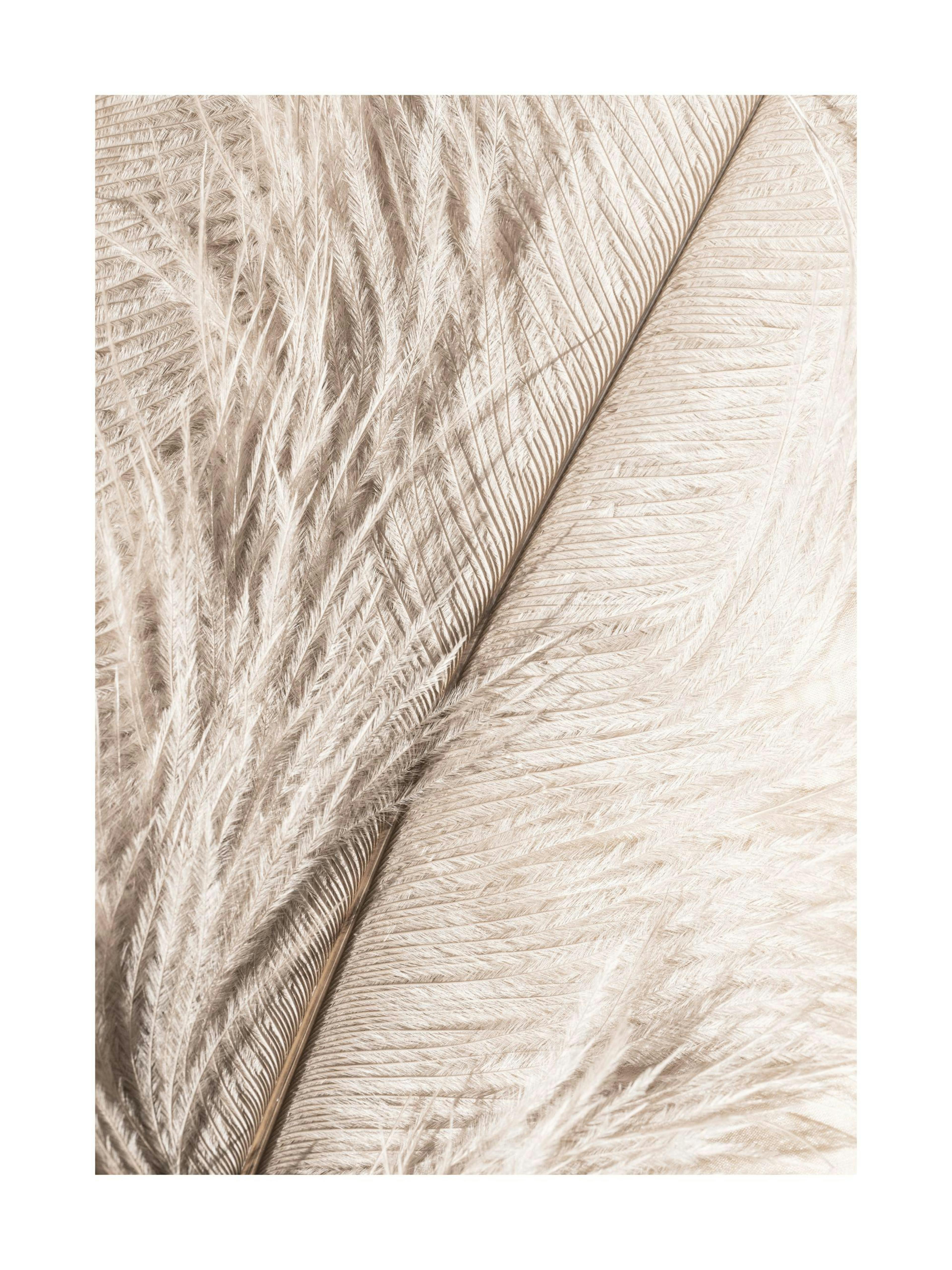 Product image: 1