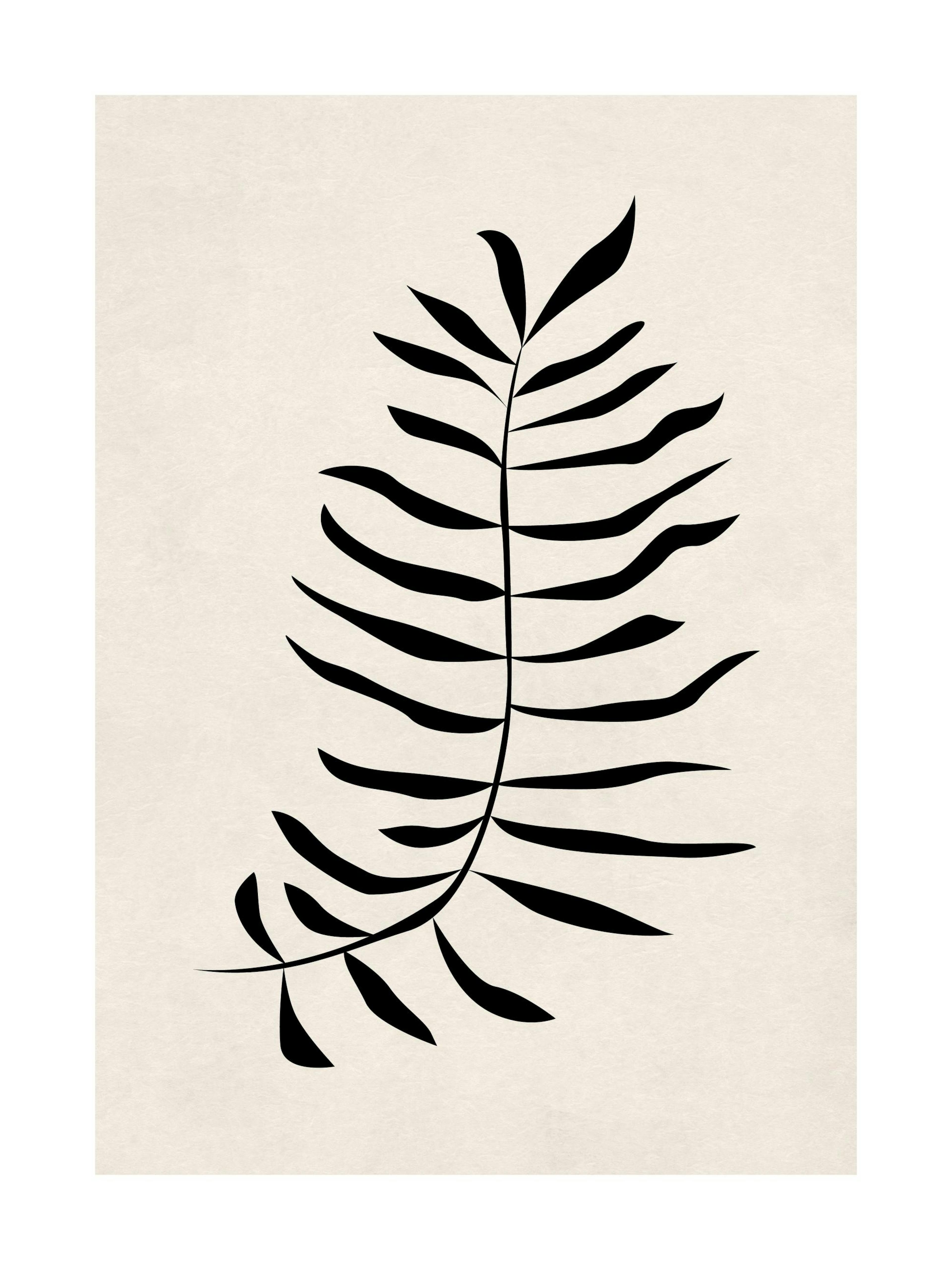 Affiche dune feuille noire sur un fond beige, illustration graphique de typographie végétale