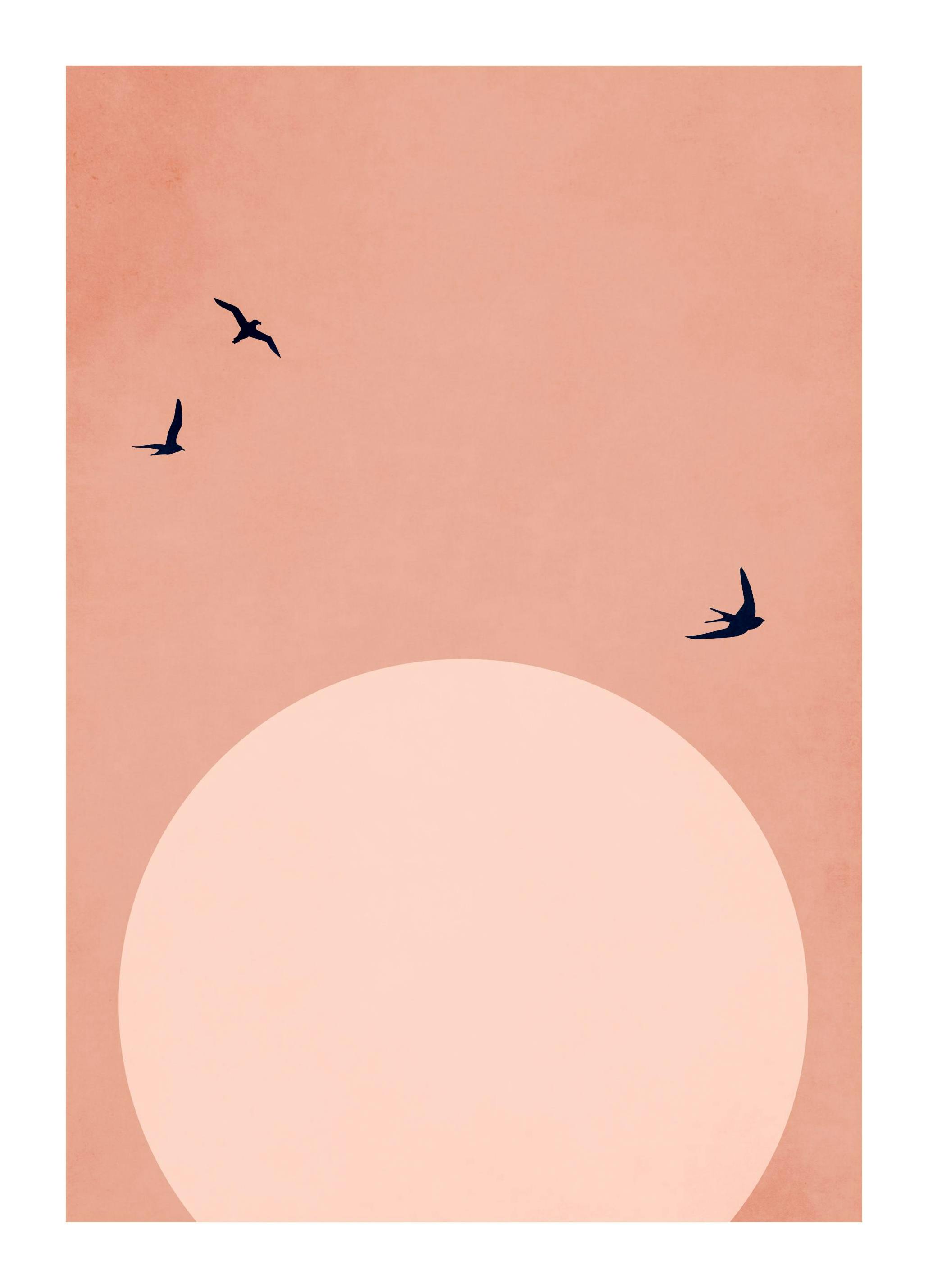 Boris Draschoff / Kubistika - The Beauty of Life Poster (30x40 cm)
