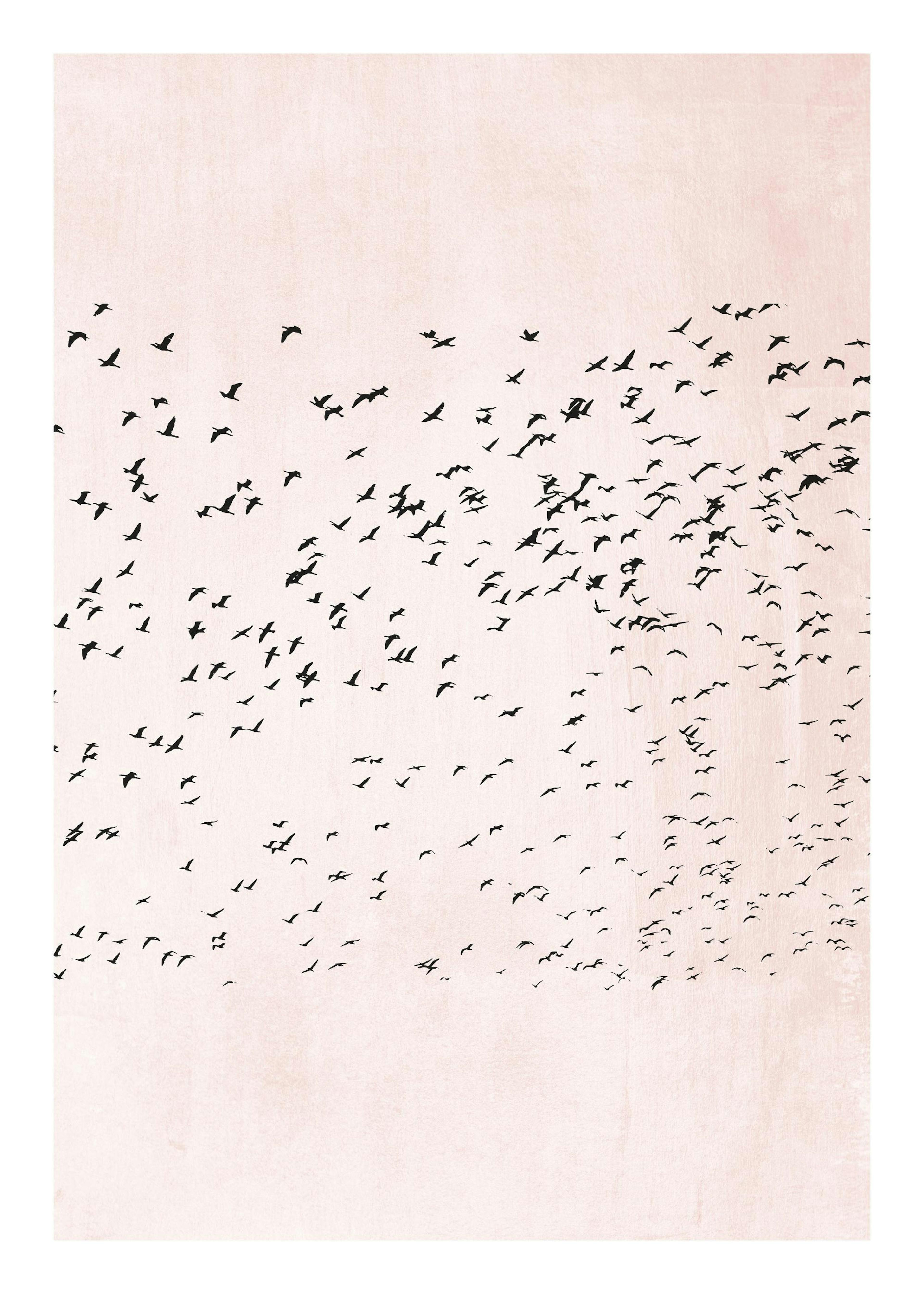Boris Draschoff / Kubistika - Moving On 포스터 0