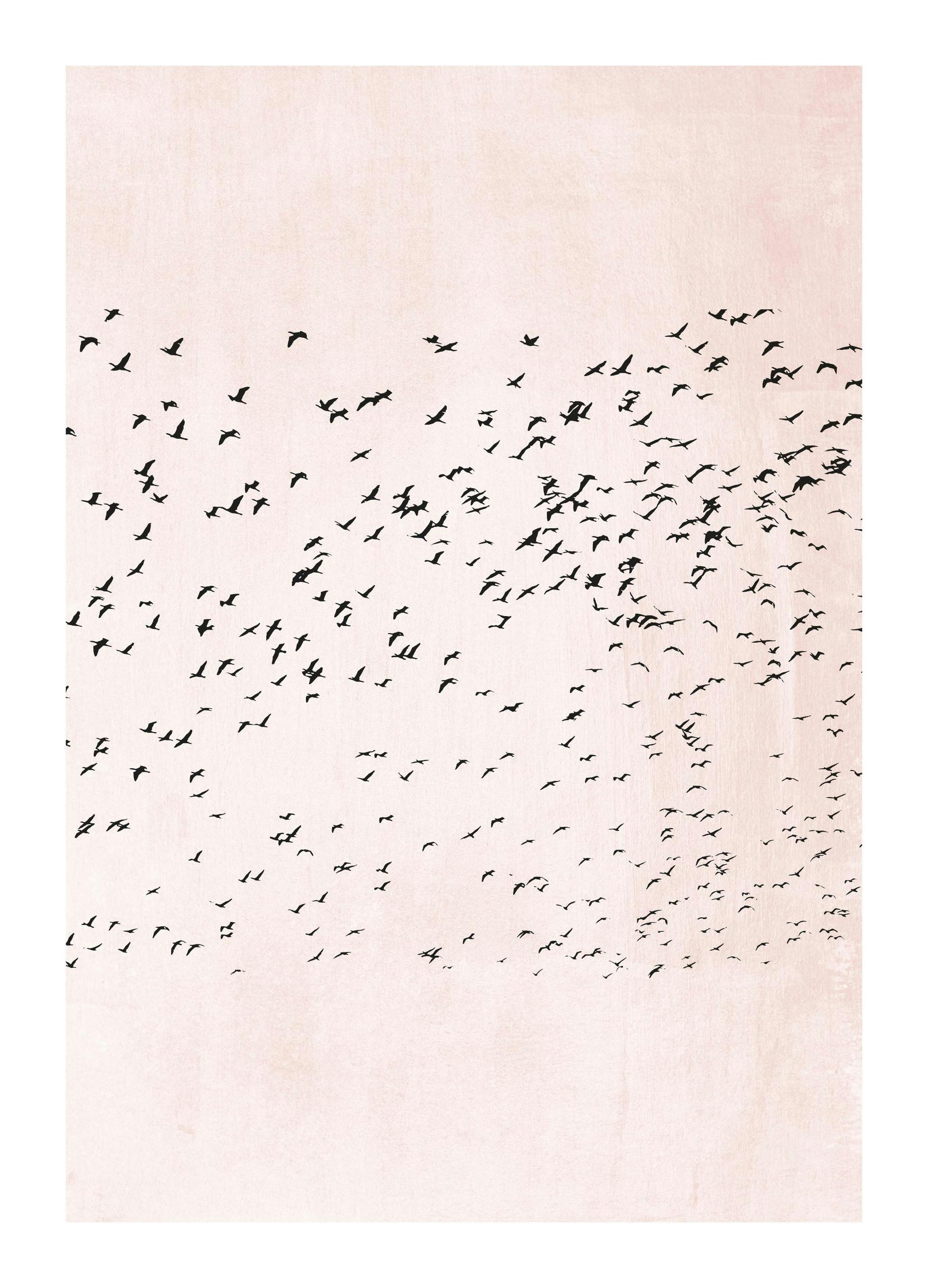 Boris Draschoff / Kubistika - Moving On Plakat (30x40 cm)