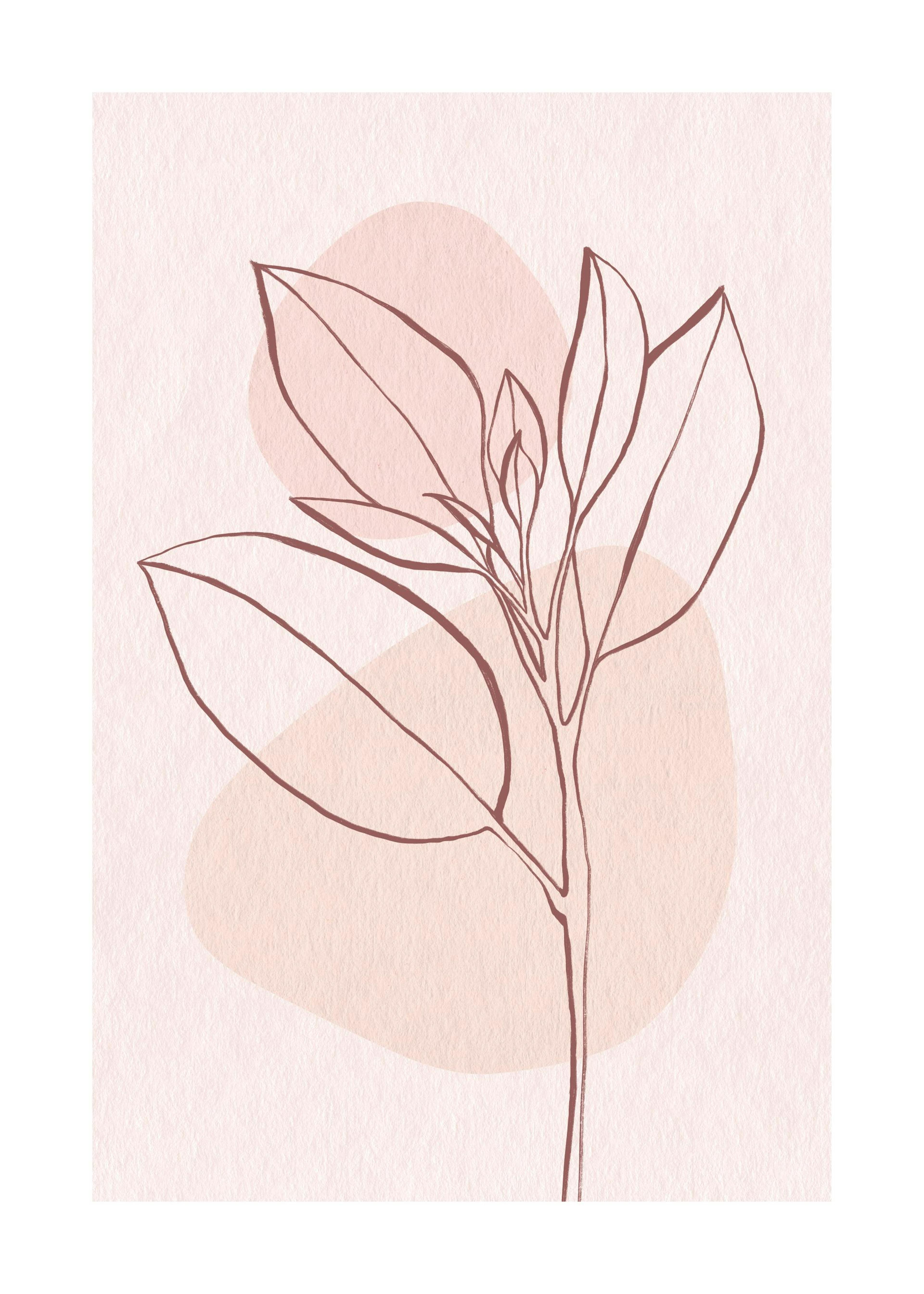 Pink Leaves No2 Plakat 0