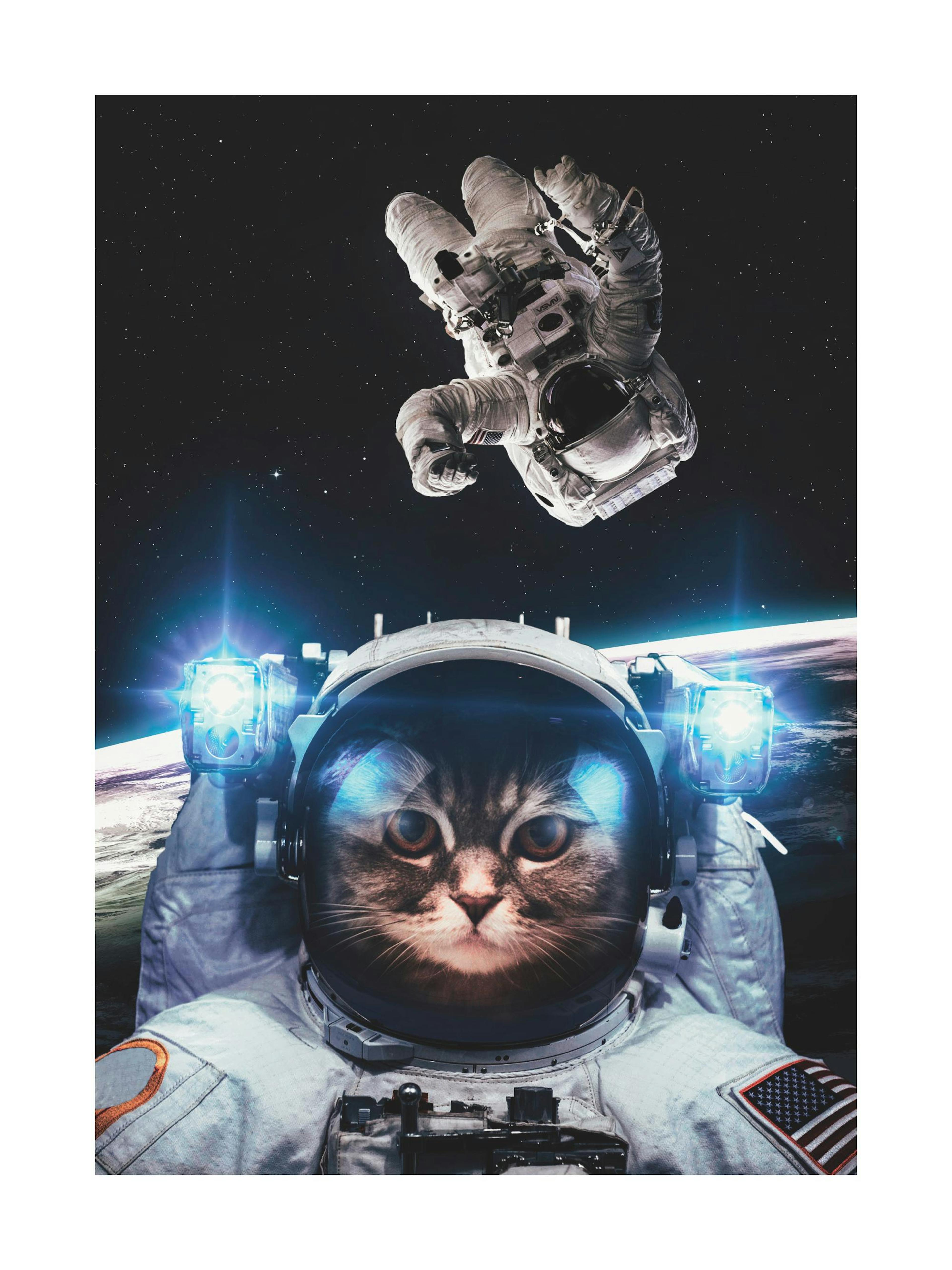 Affiche dun chat astronaute avec des reflets bleus, un astronaute et la Terre en arrière-plan