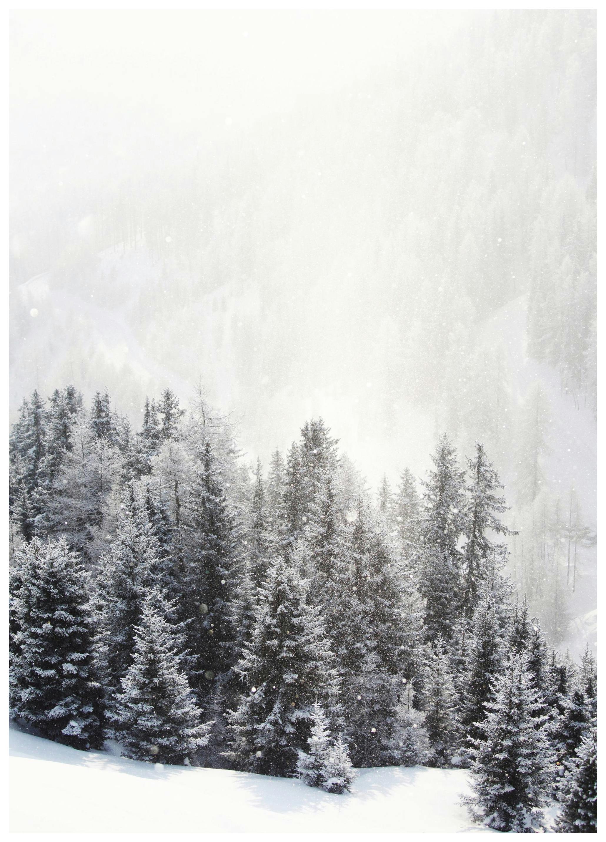 Frozen Forest Print (30x40 cm)