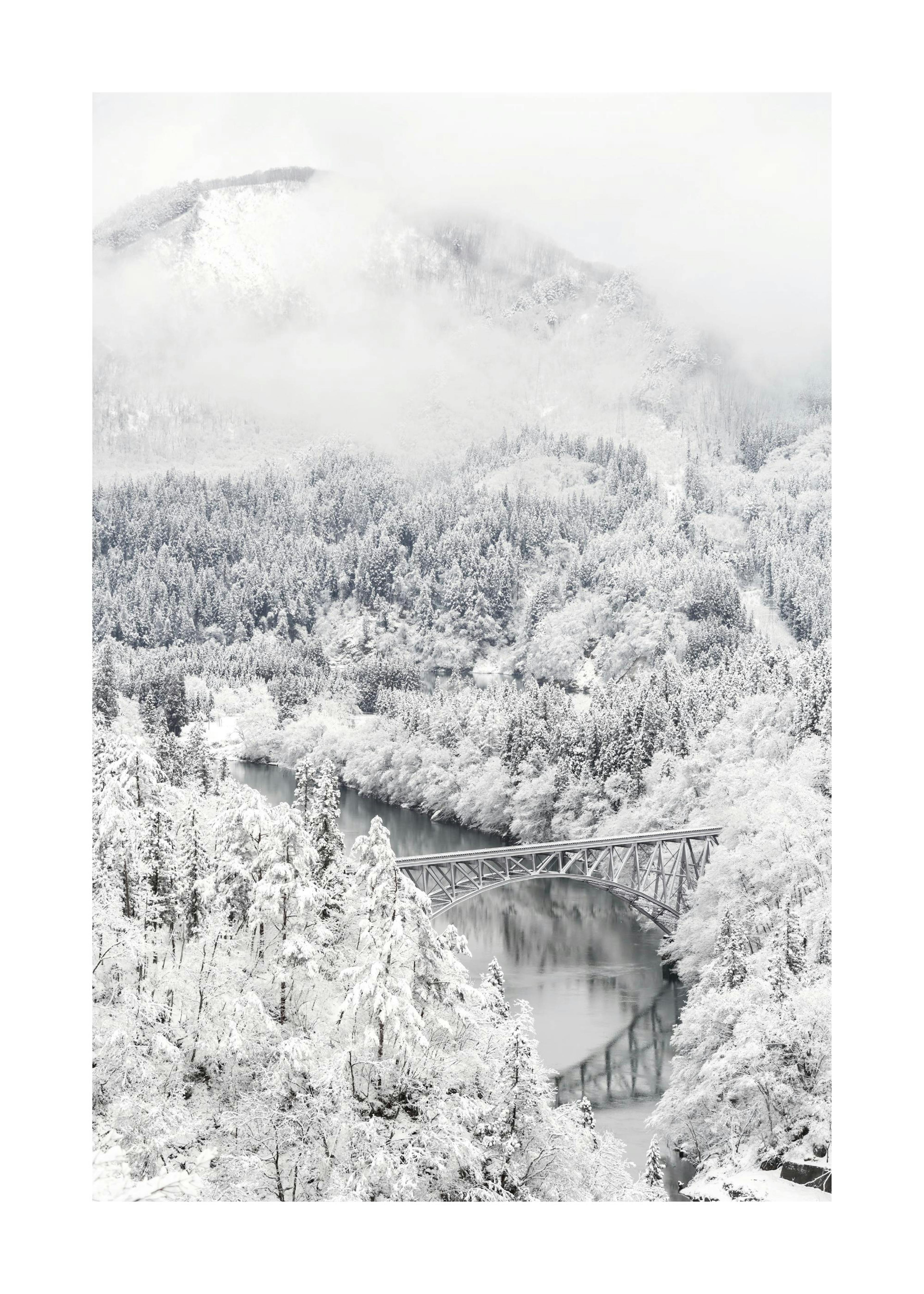 Frozen Landscape Print 0