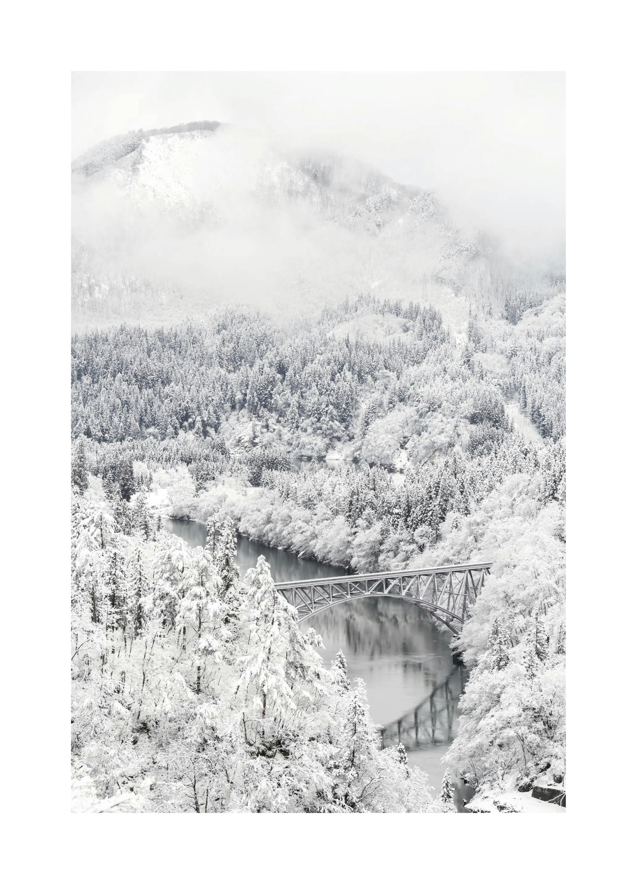 Frozen Landscape Affiche (50x70 cm)