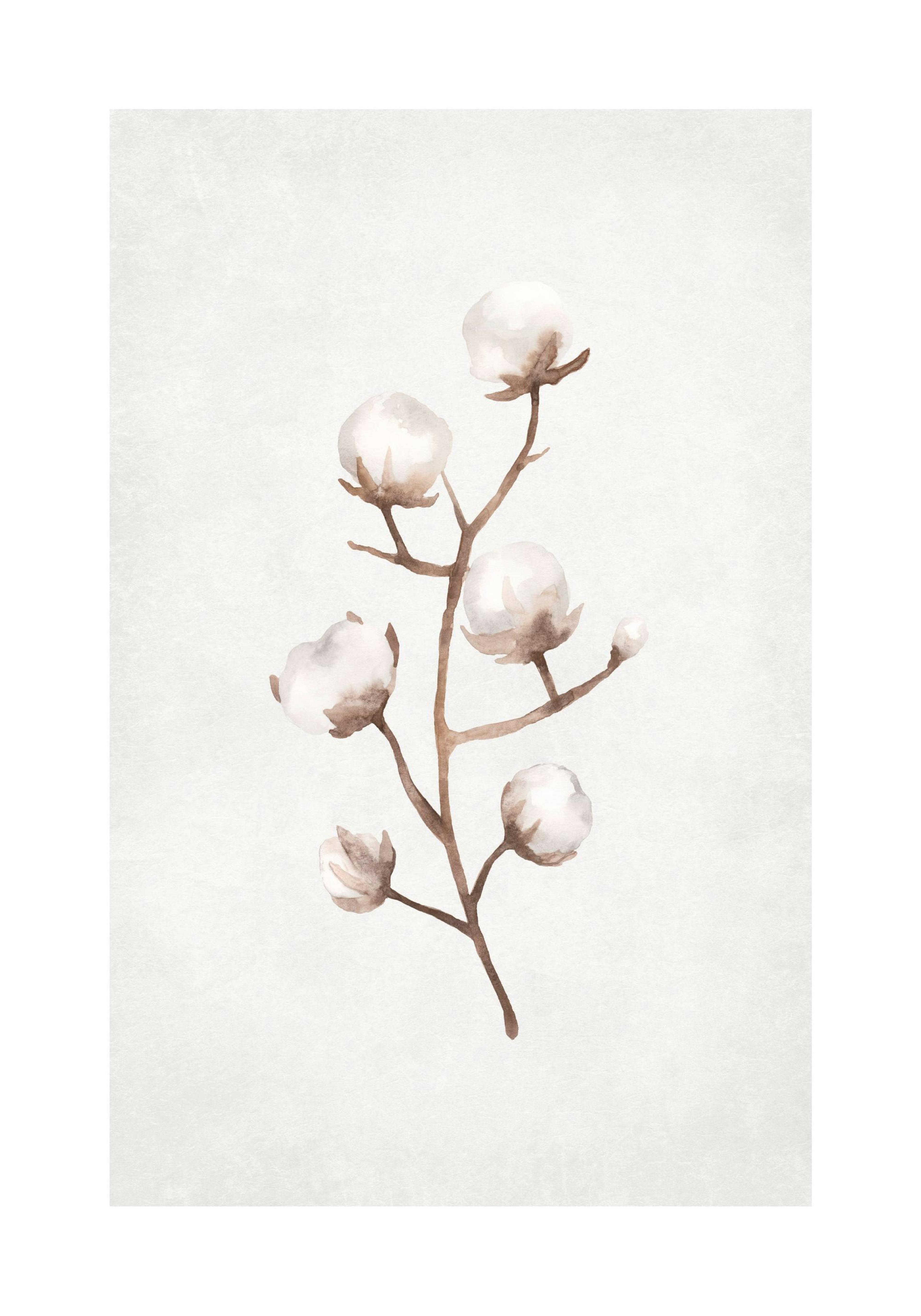 Product image: 1