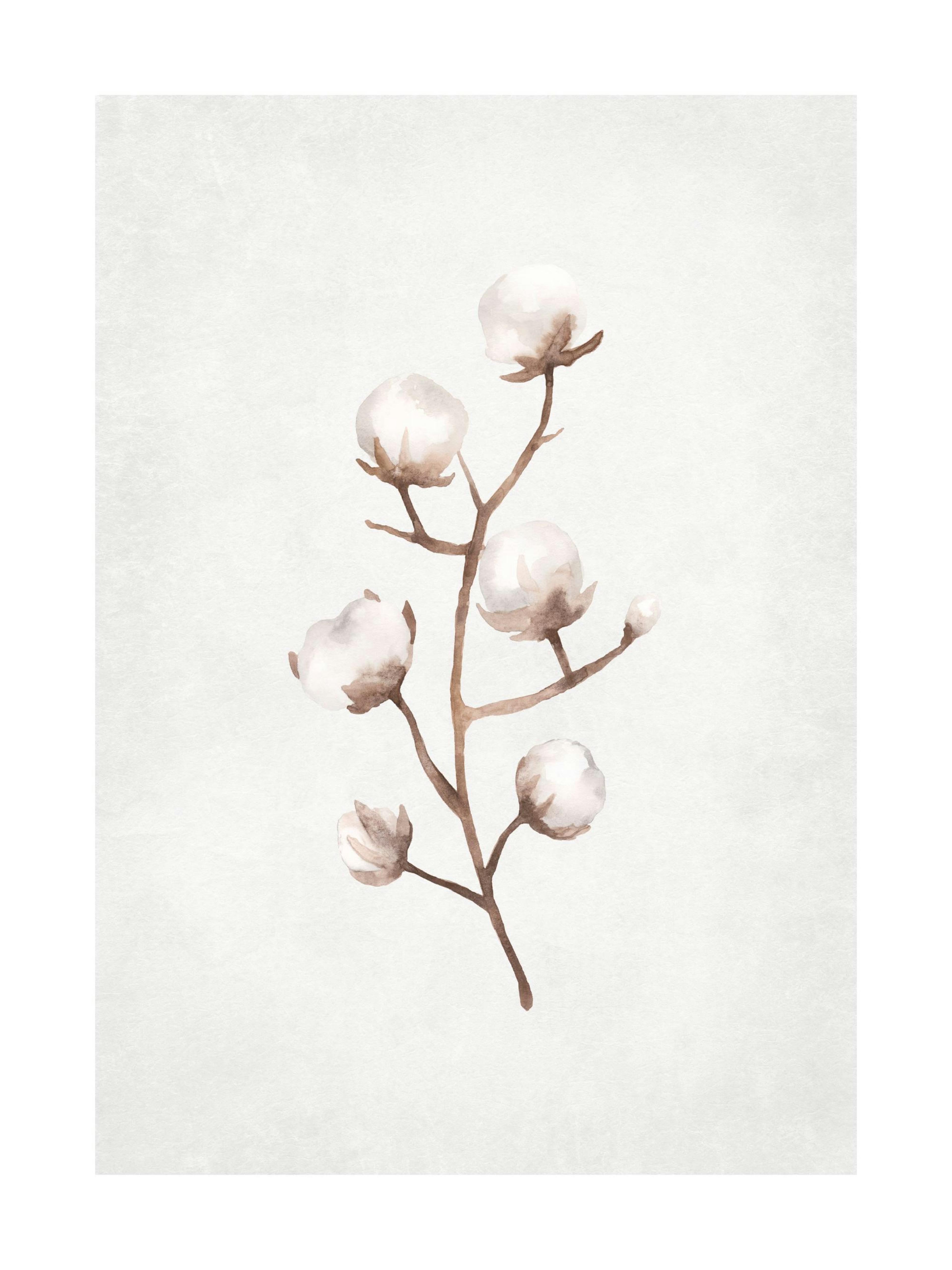 Poster acquerello con ramo di cotone congelato marrone e beige su sfondo grigio.