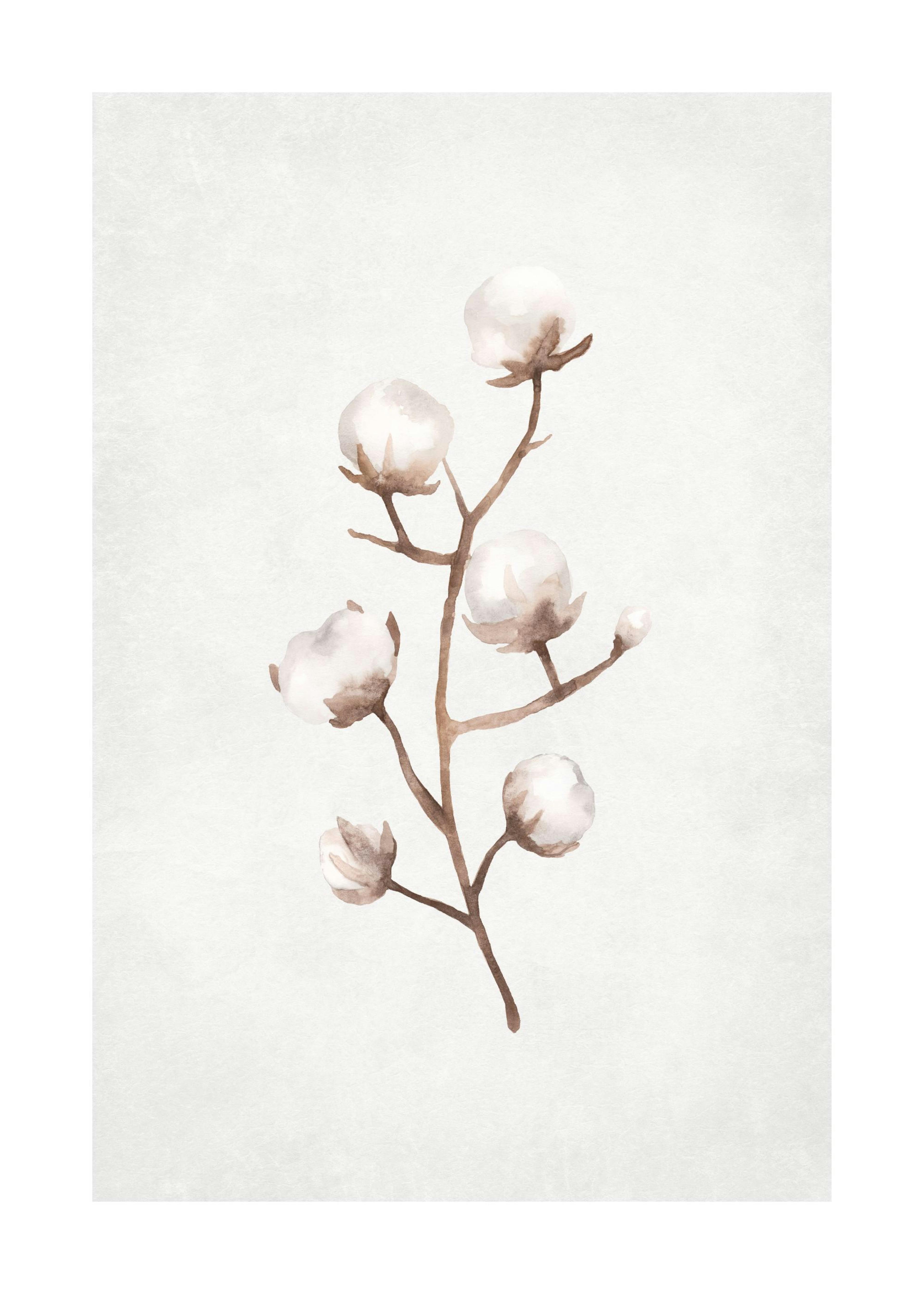 Frozen Cotton Branch Plakat 0
