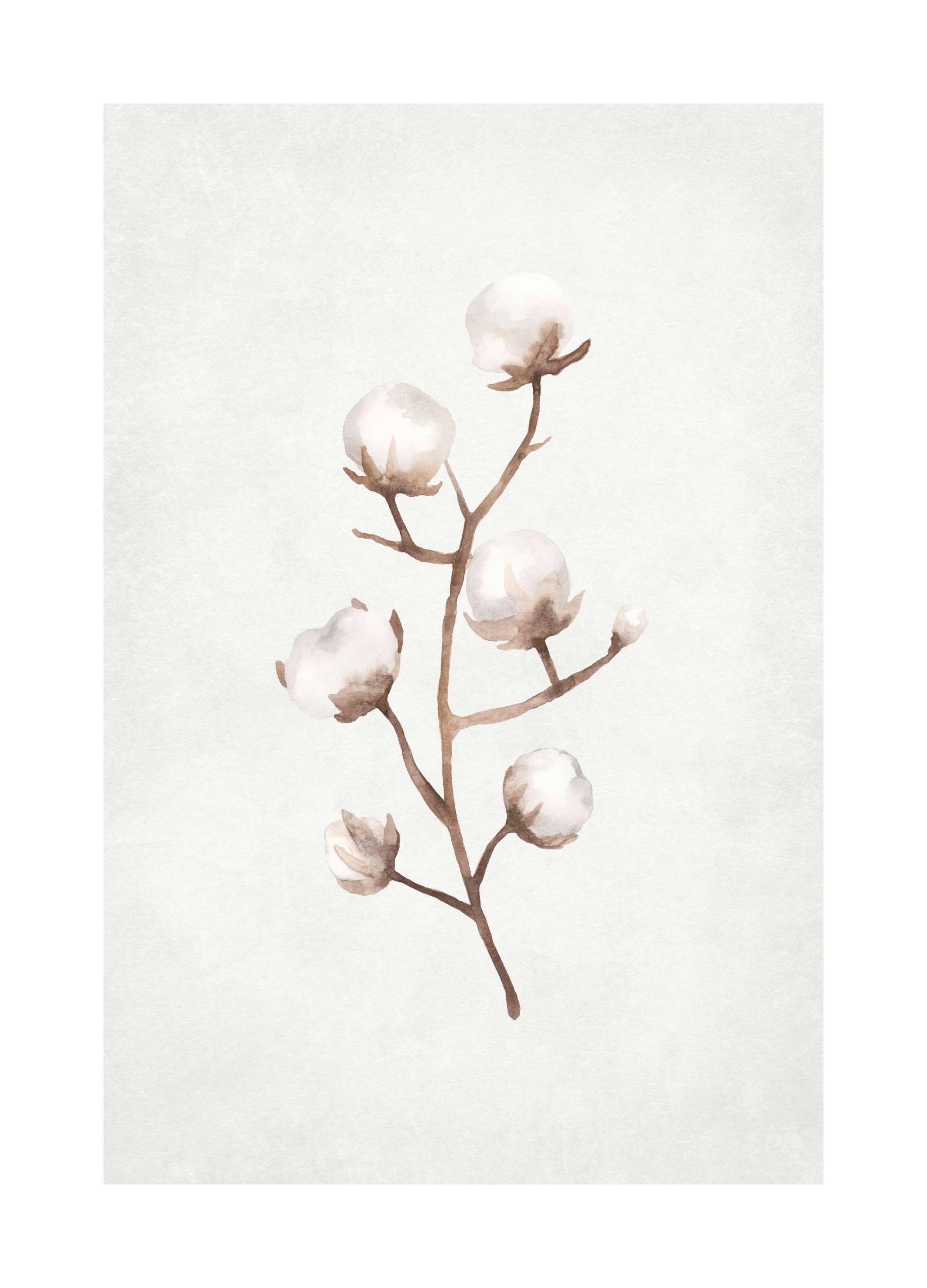 Frozen Cotton Branch Print (50x70 cm)