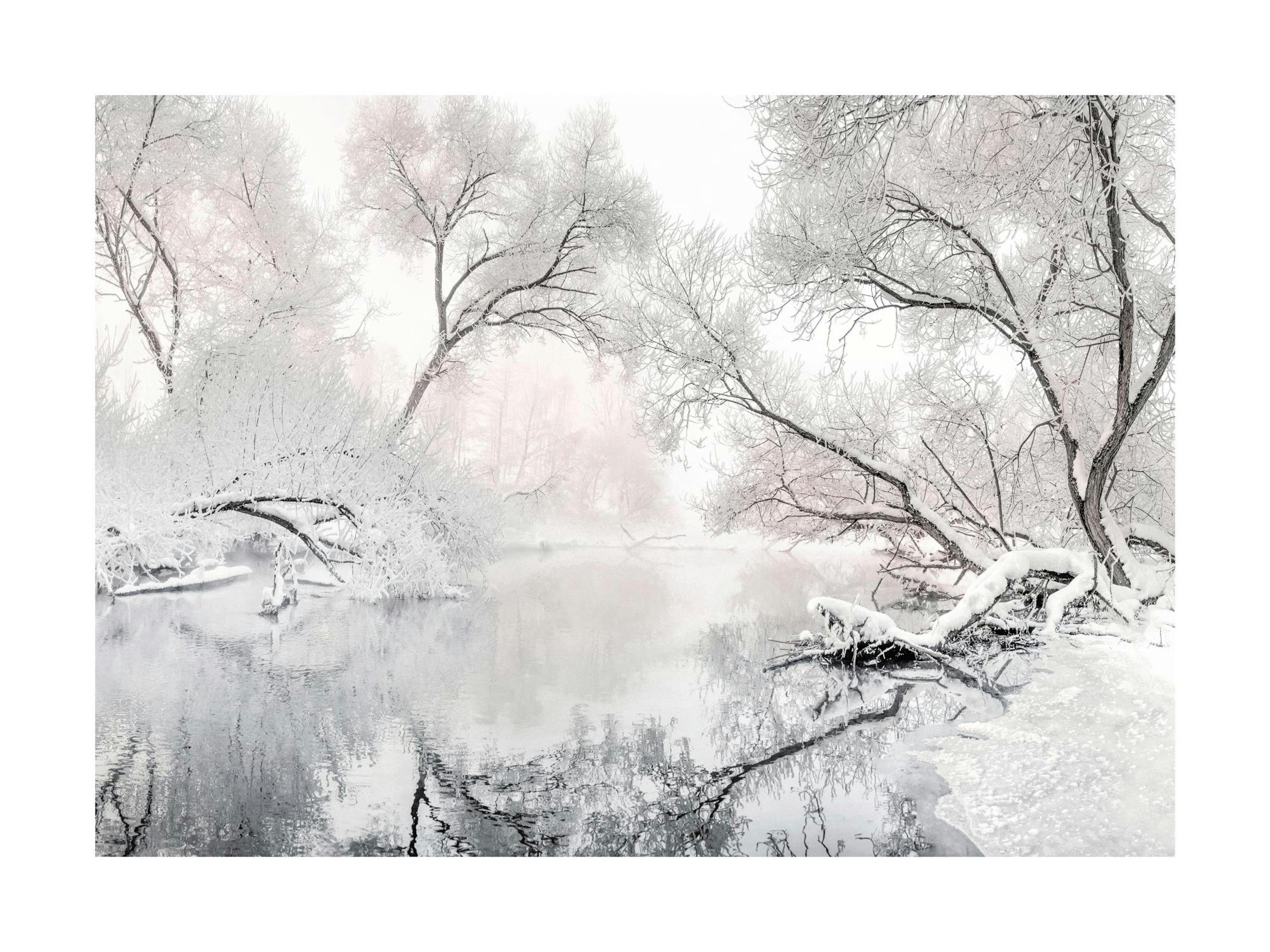 Fotografie eines zugefrorenen Sees umgeben von verschneiten Bäumen im Winter, Querformat.
