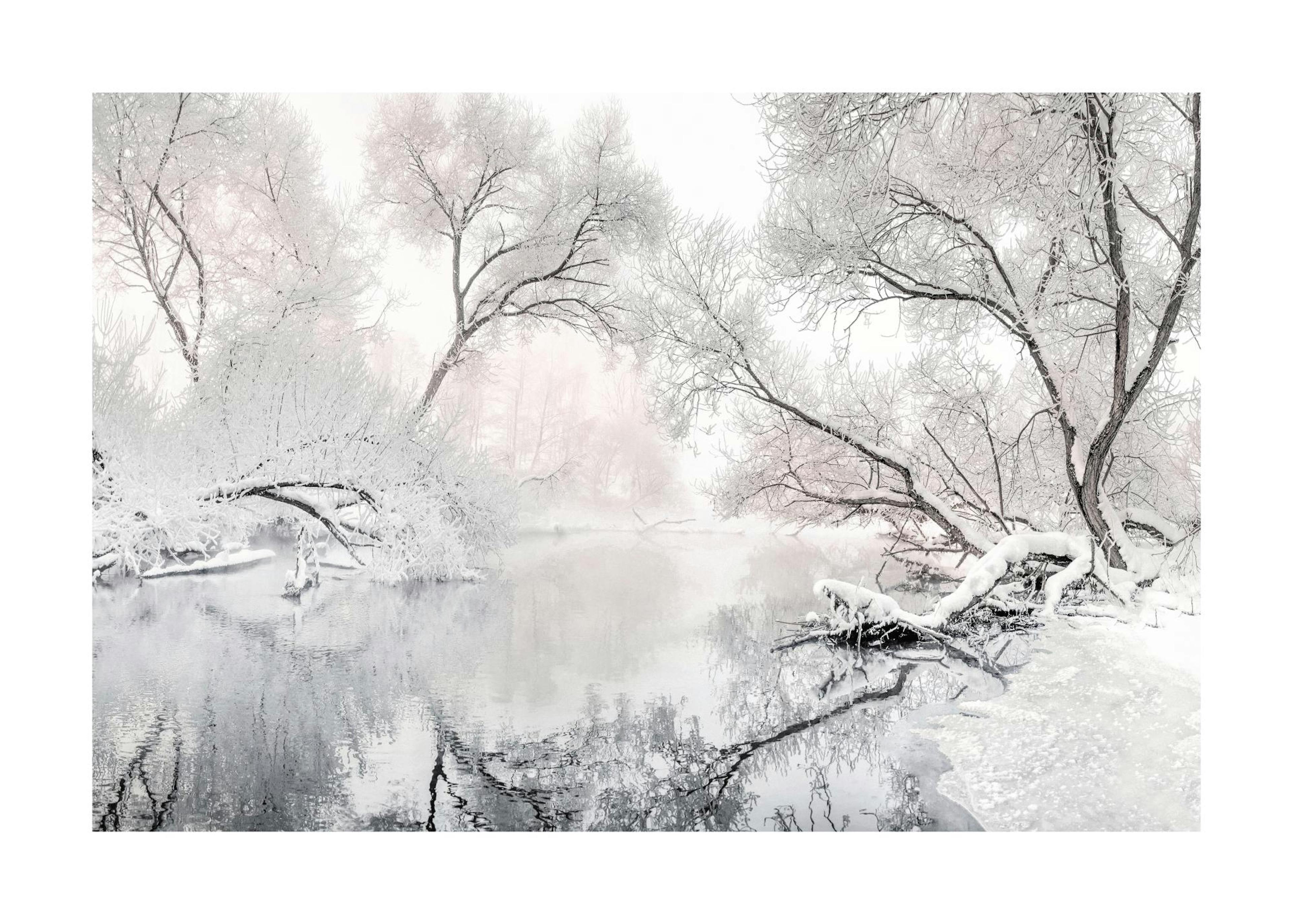 Frozen Lake Print 0