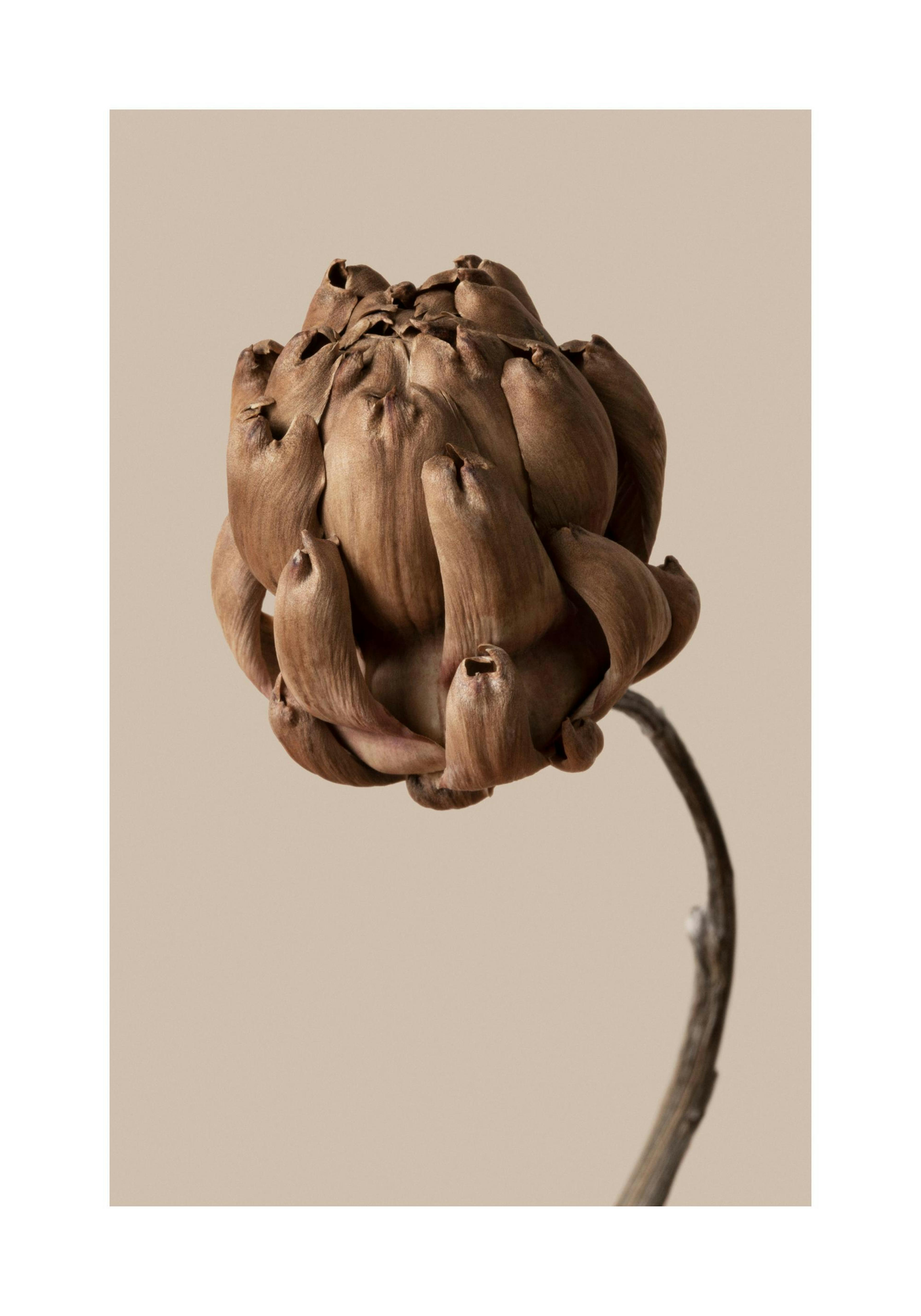 Product image: 1