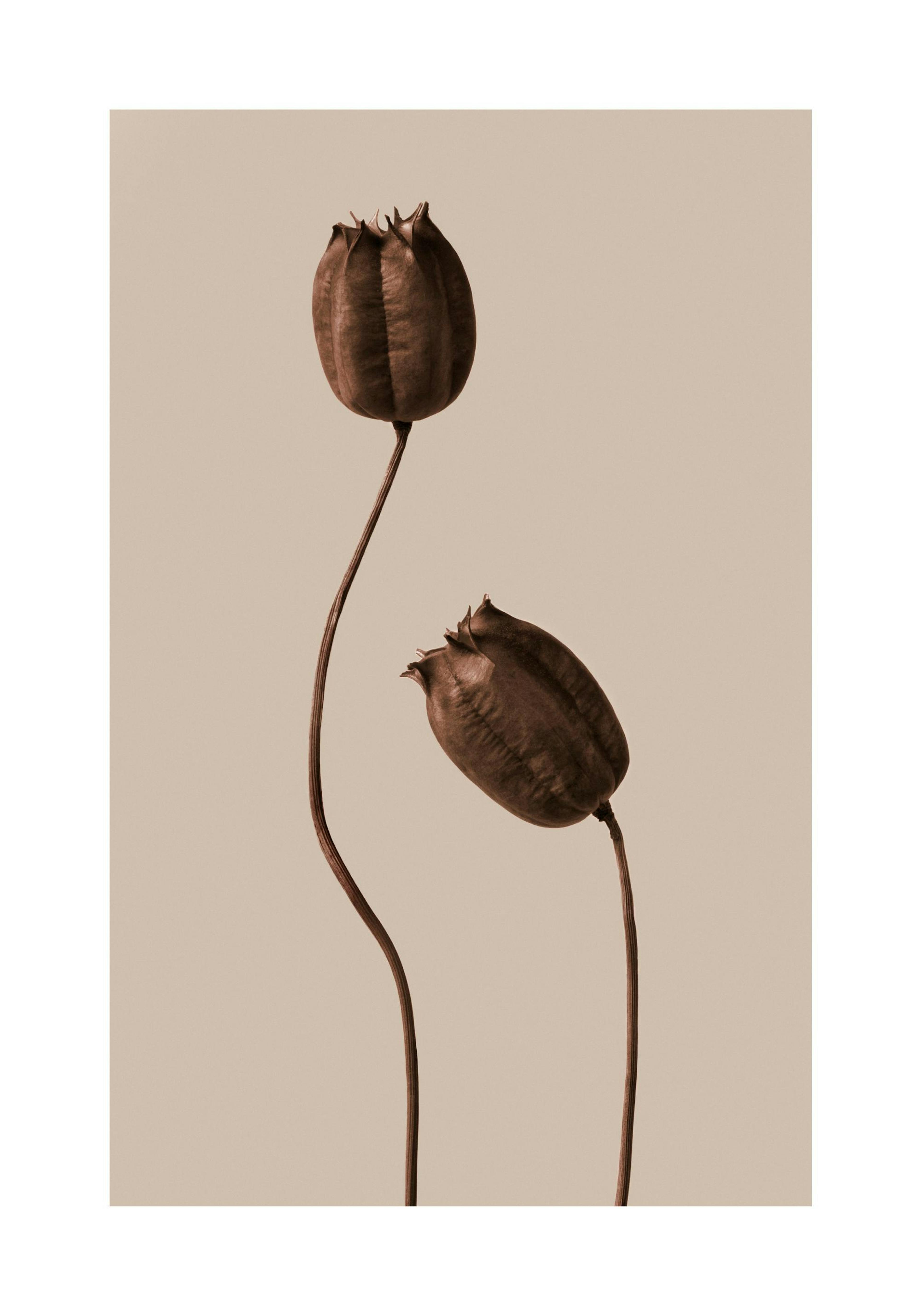 Product image: 1