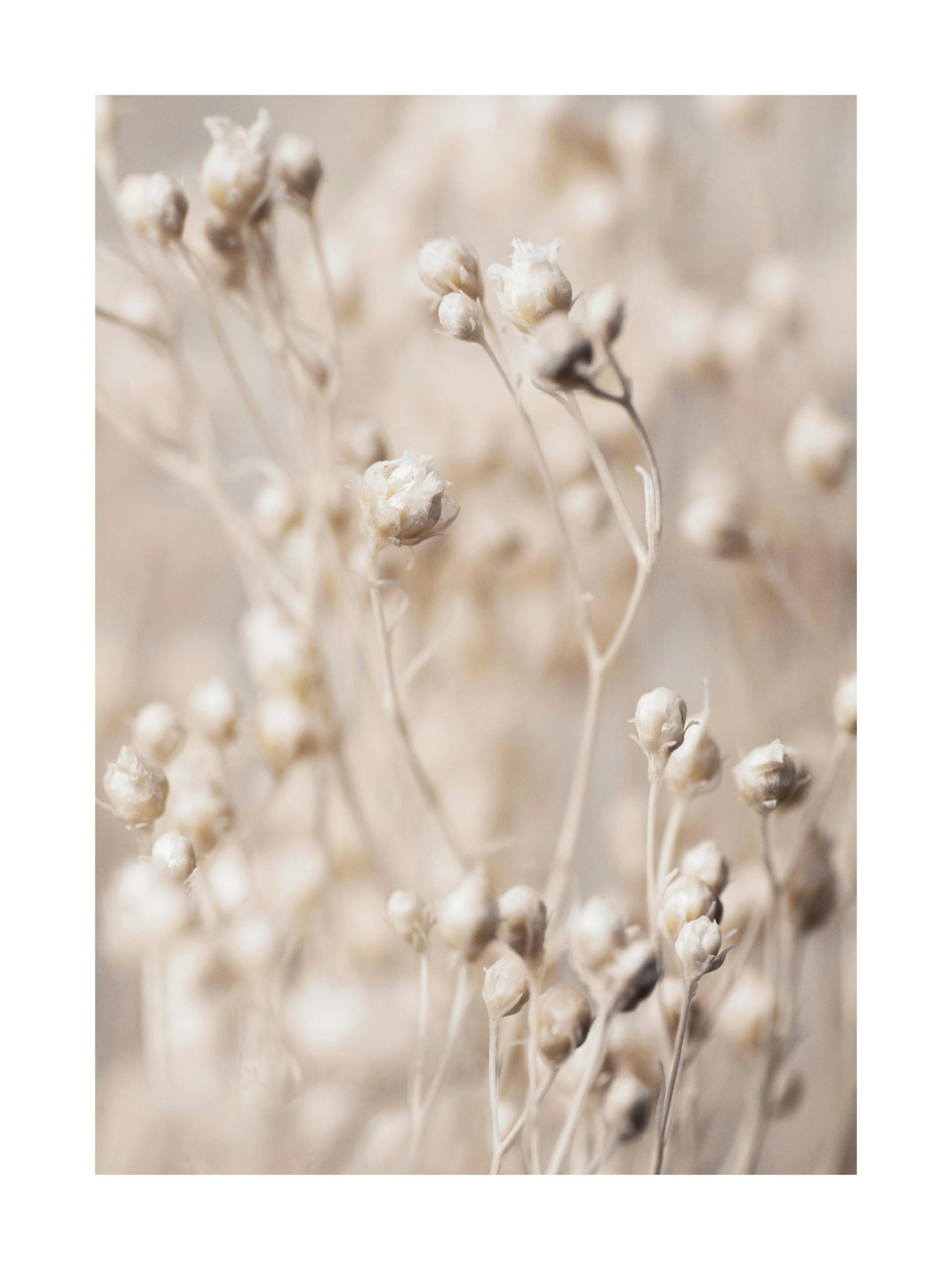 Product image: 1