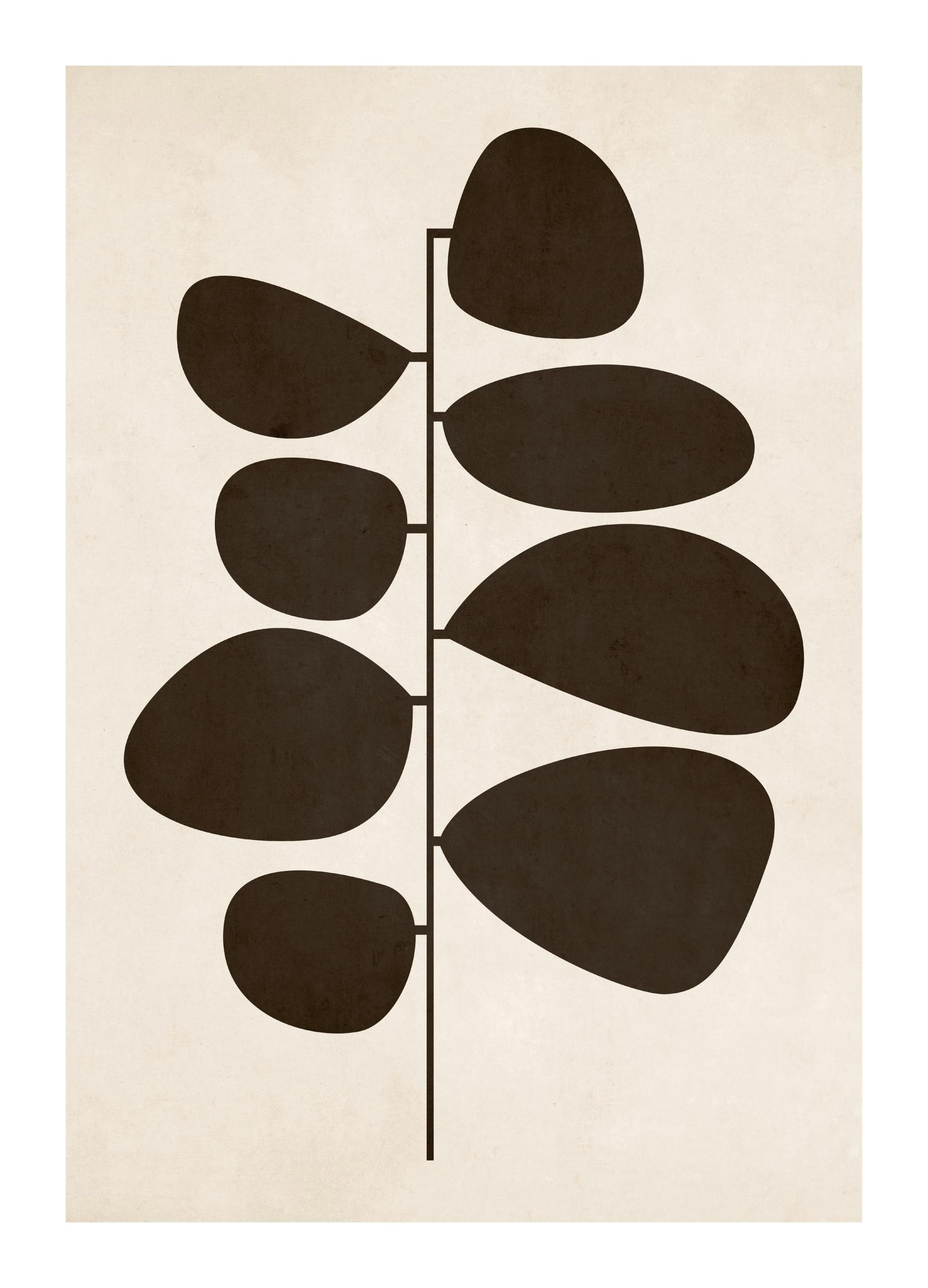 Retro Botanical Affiche (50x70 cm)